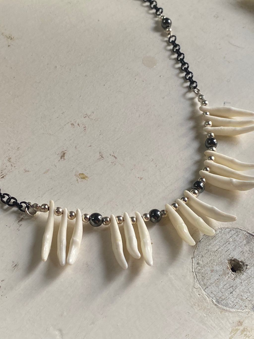 Coyote Teeth and Black Chain Necklace image 1