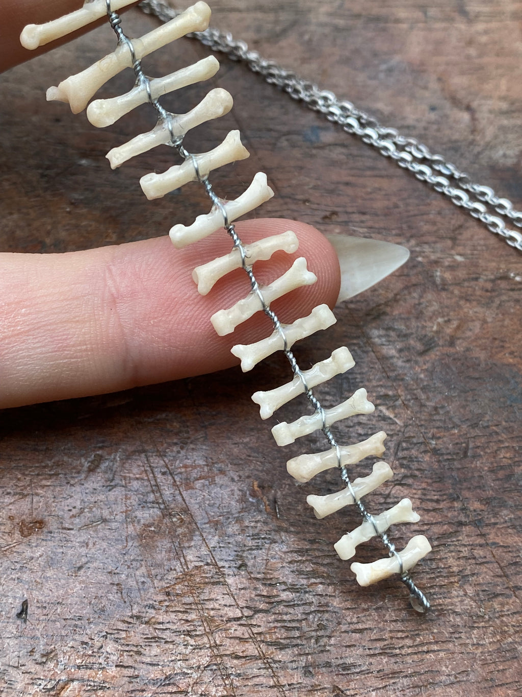 Squirrel Paw and Toe Bones Pendant Necklace