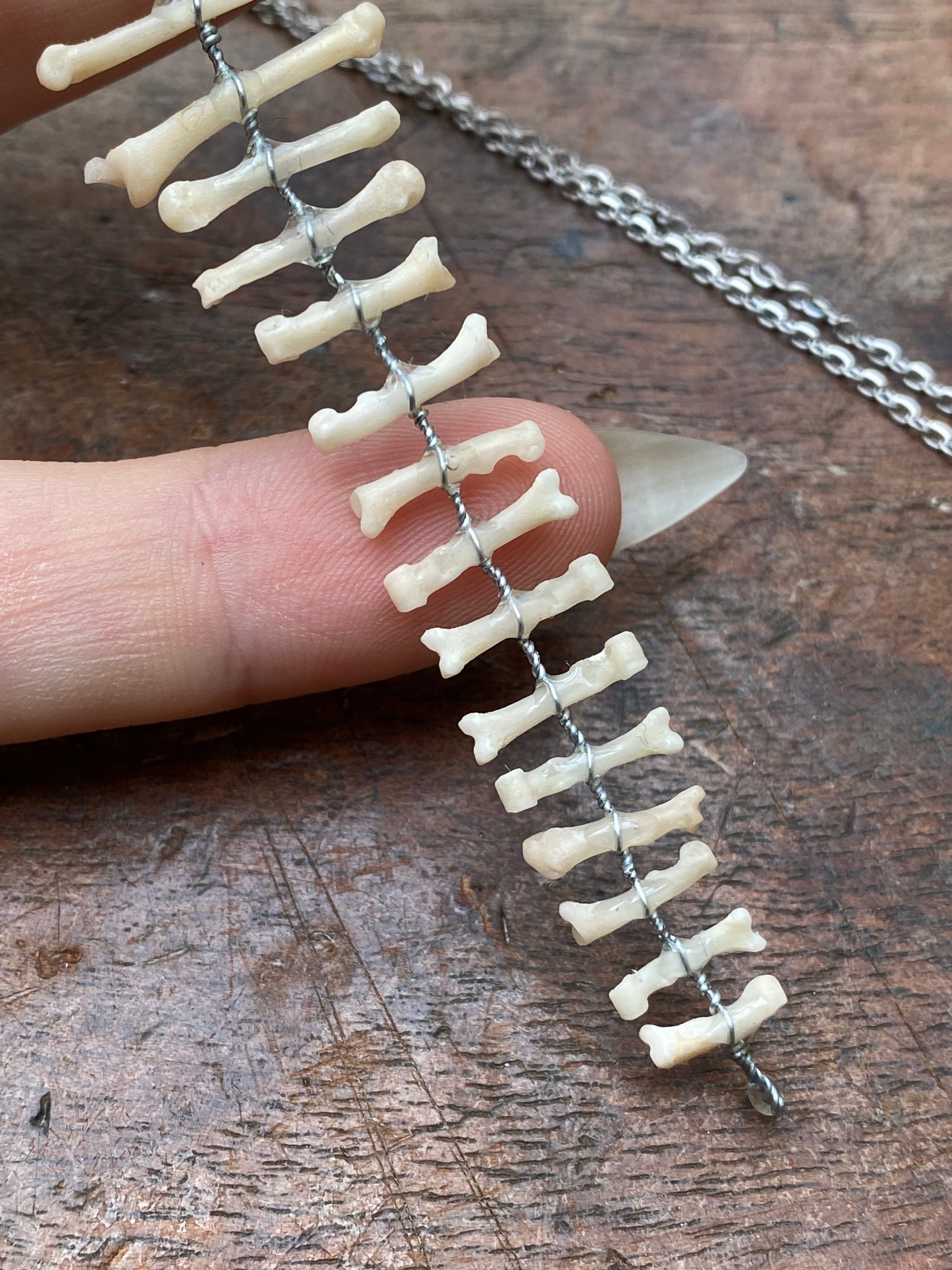 Squirrel Paw and Toe Bones Pendant Necklace