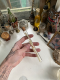 Fox Bones in Glass Vial image 0