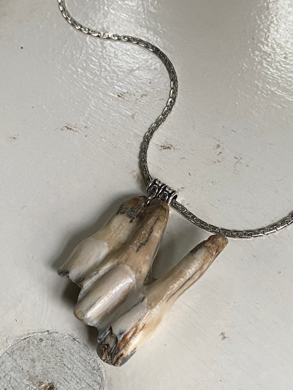 Very Large Tooth from Thames on a Chain image 1