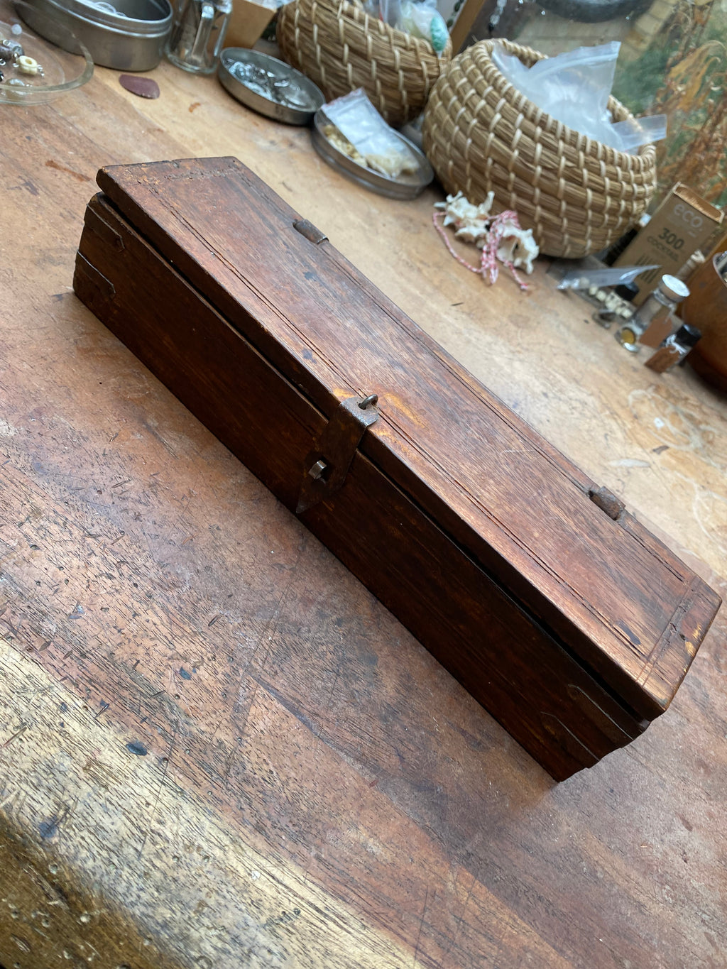 Articulated Squirrel Skeleton in Wooden Box
