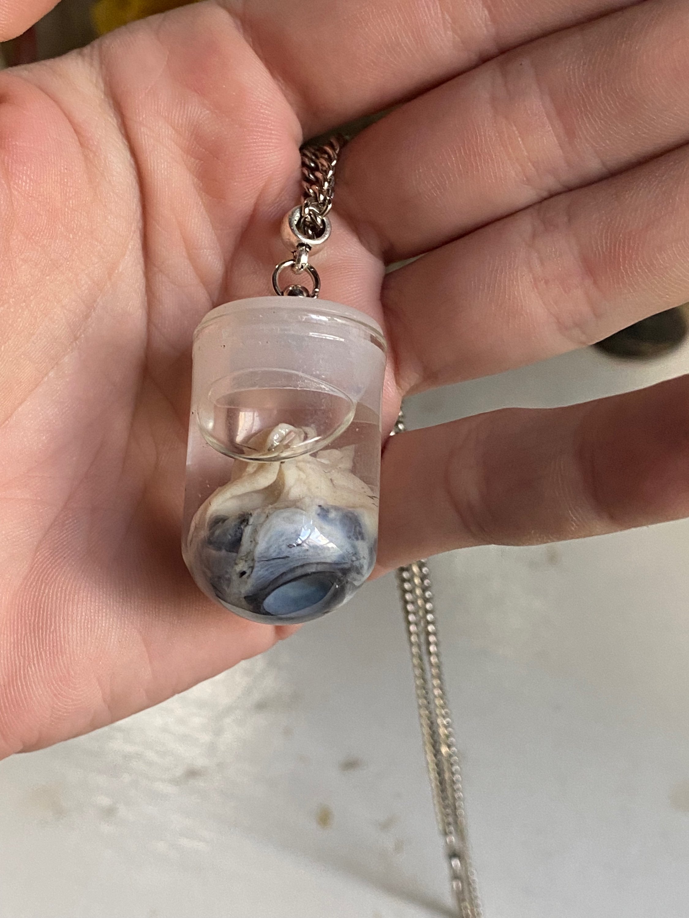Crow Eyeball Wet Specimen on a Chain image 5