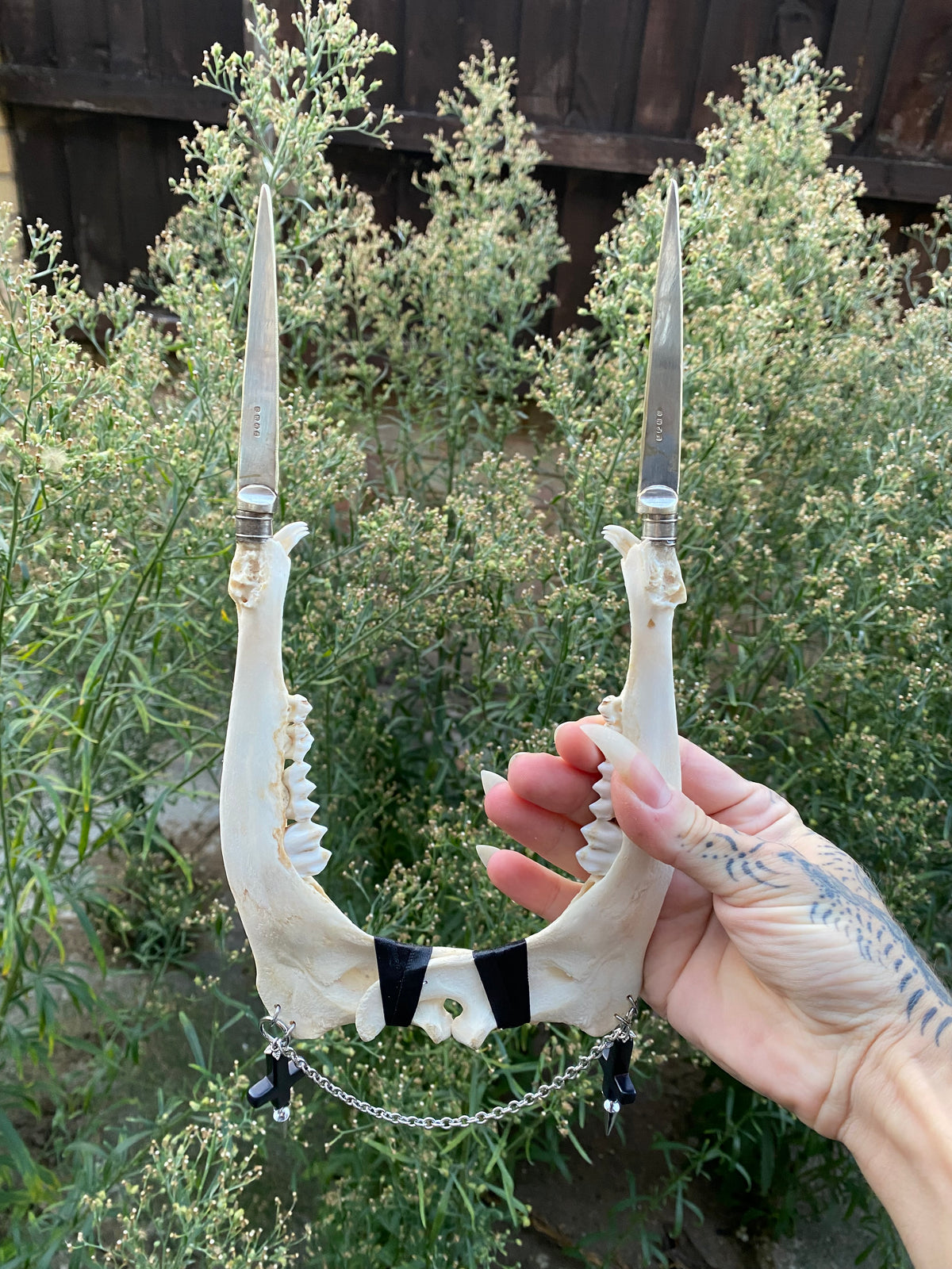 Double Deer Jaw Dagger with Inverted Crosses and Chain