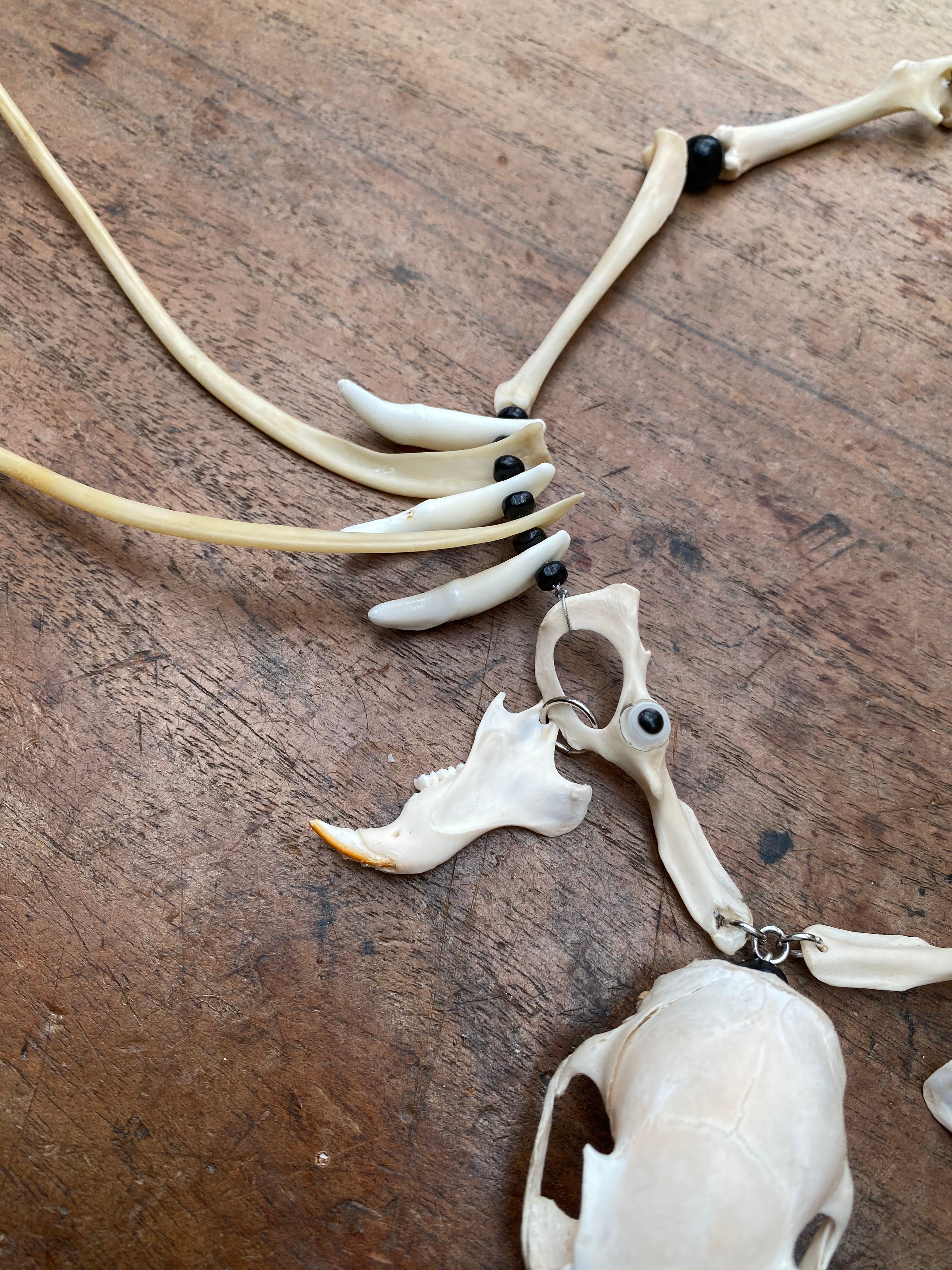 Squirrel Skull and Bones Necklace