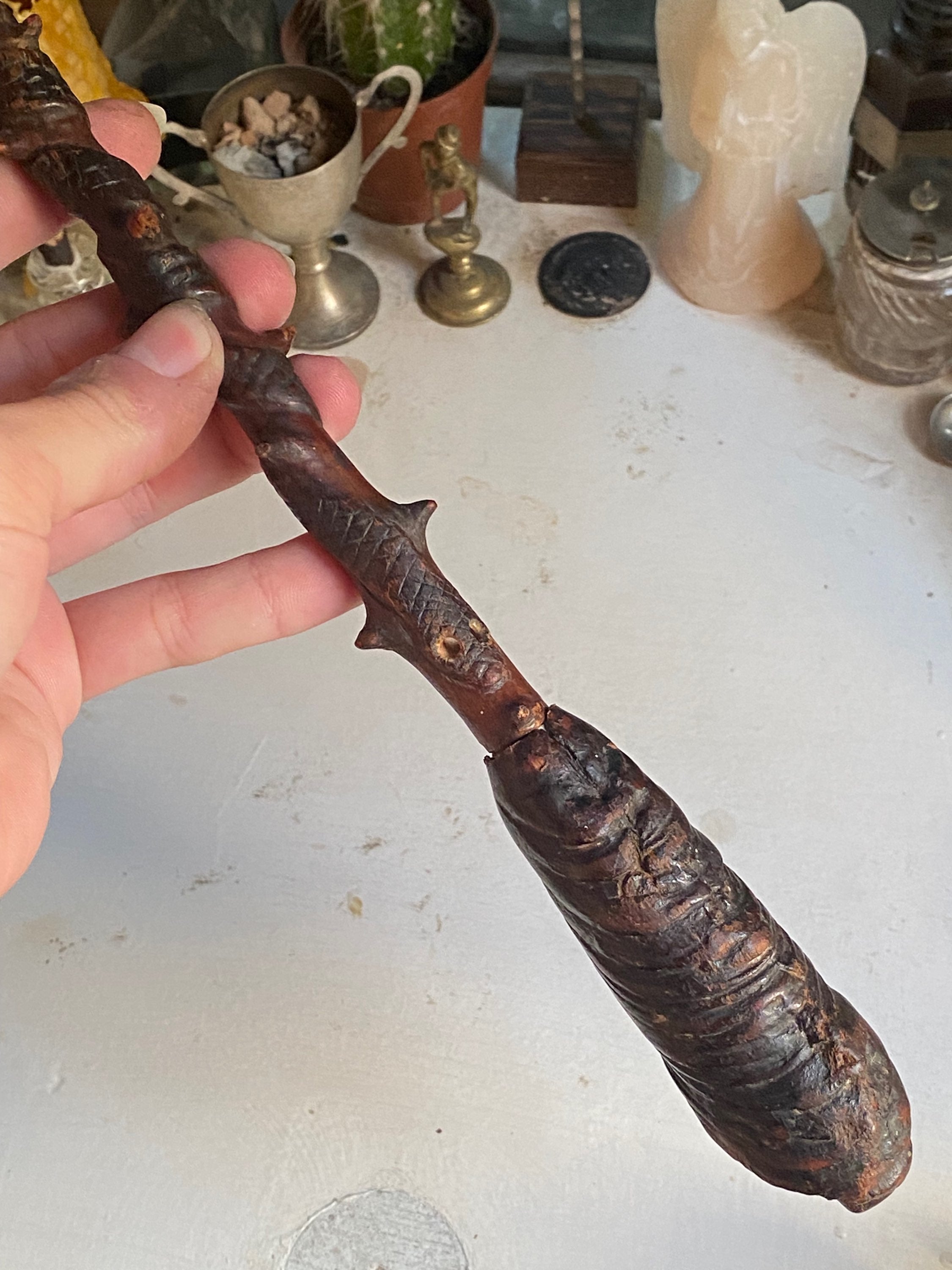 Wooden Blackthorn Wand with Hidden Vial in Handle image 1