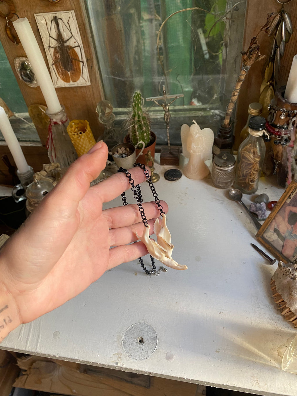 Muskrat Lower Jaw with Teeth Necklace image 6