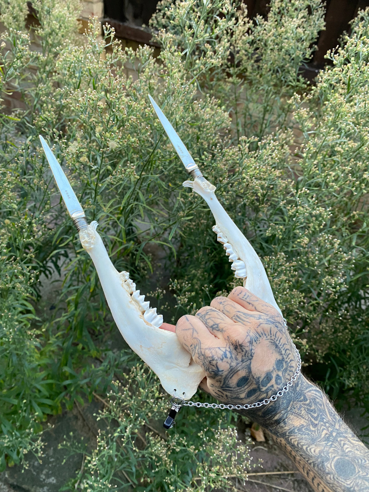 Double Deer Jaw Dagger with Inverted Crosses and Chain