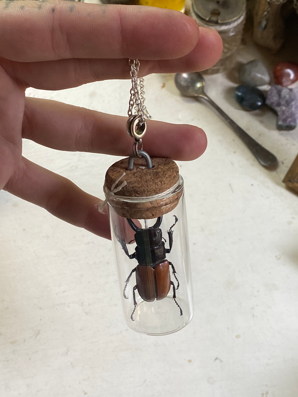 Beetle Taxidermy in Glass Jar Necklace image 2