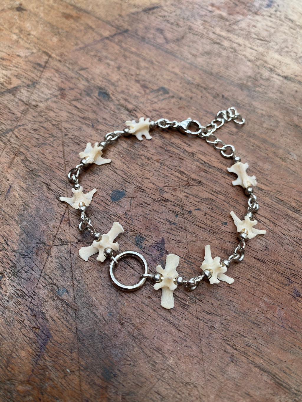 Squirrel Tail Vertibrae Bracelet