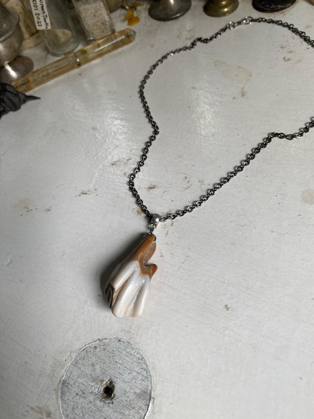 Large Fossilised Tooth from Thames on a Chain image 1