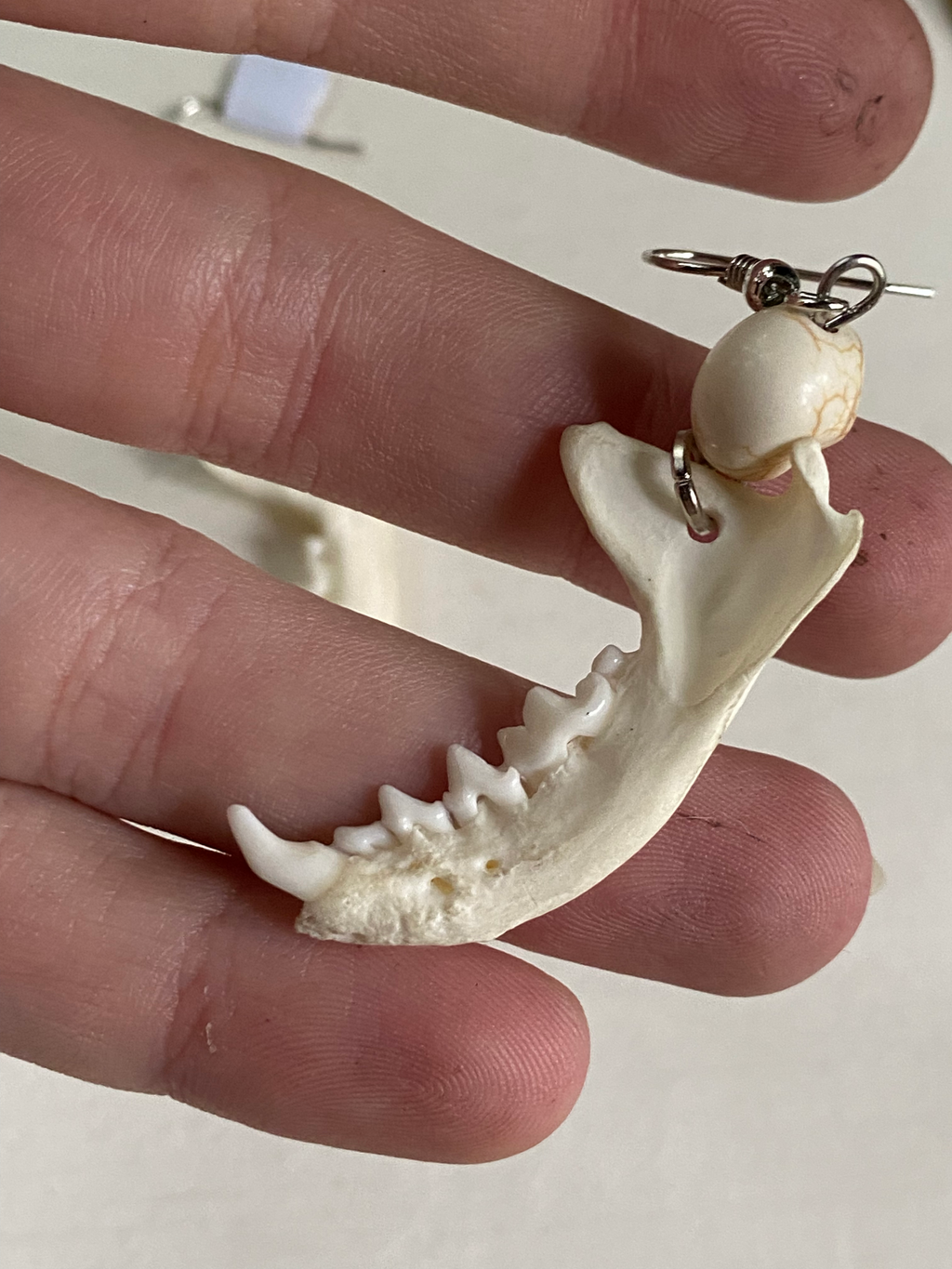 Mink Jawbones and Skull Charms Earrings image 3