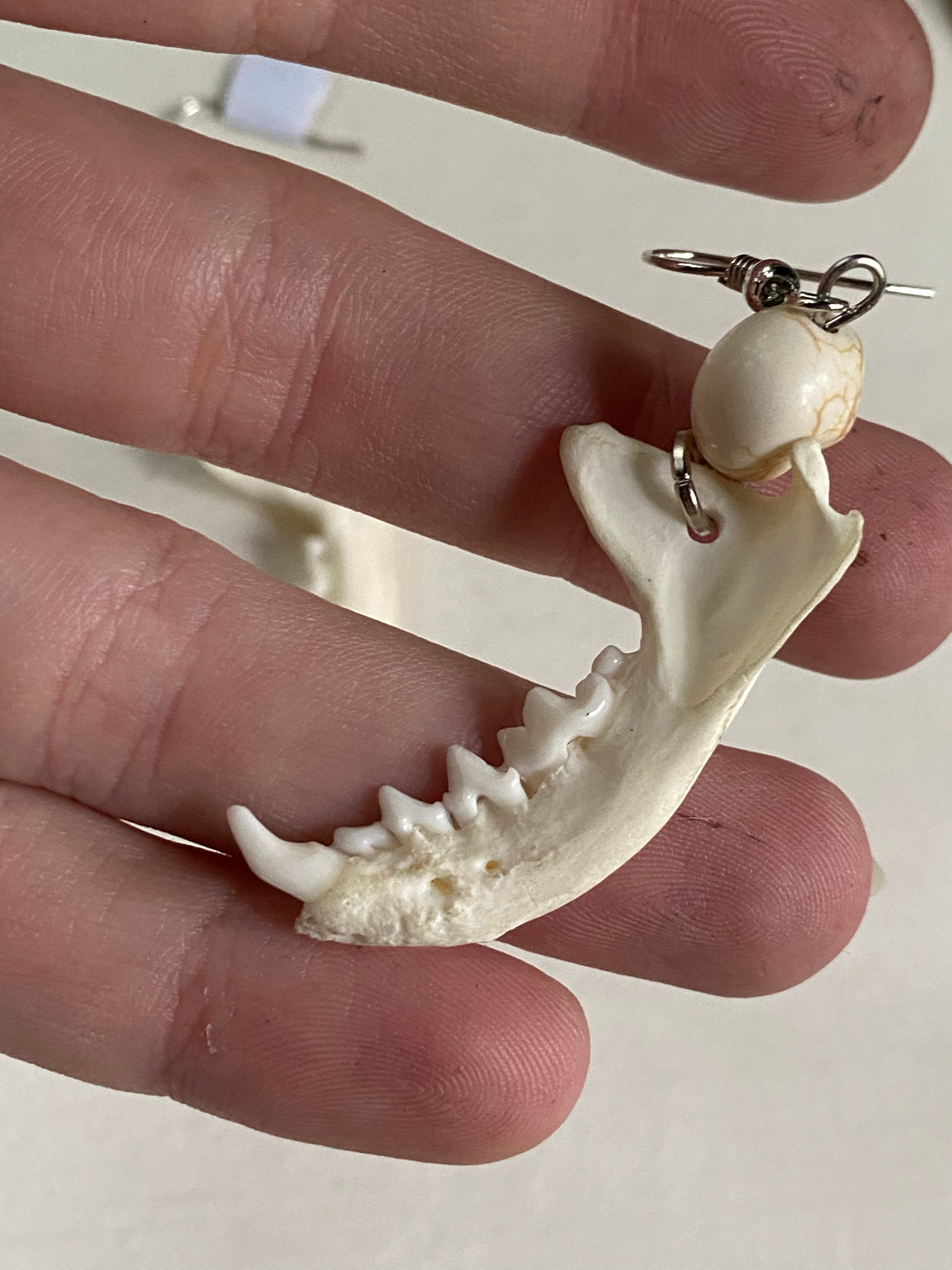 Mink Jawbones and Skull Charms Earrings image 3