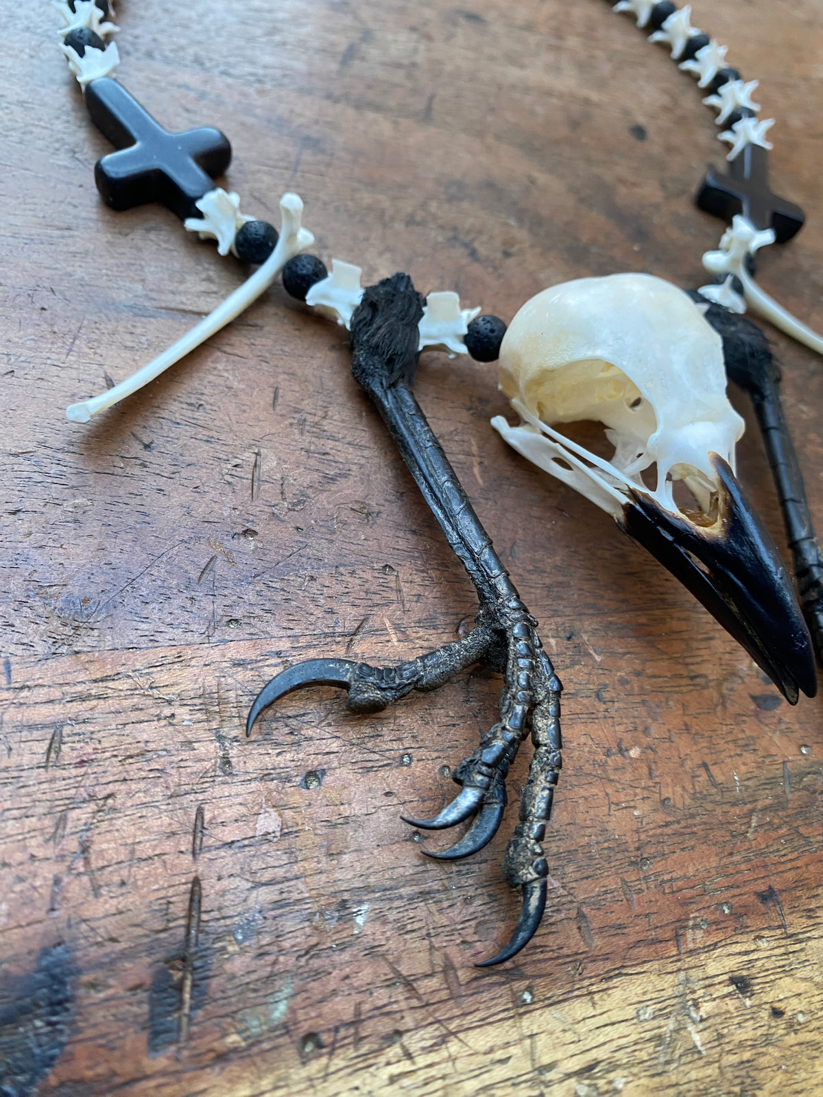 Crow Skull and Feet Necklace with Snake Vertibrae and Lava Rock