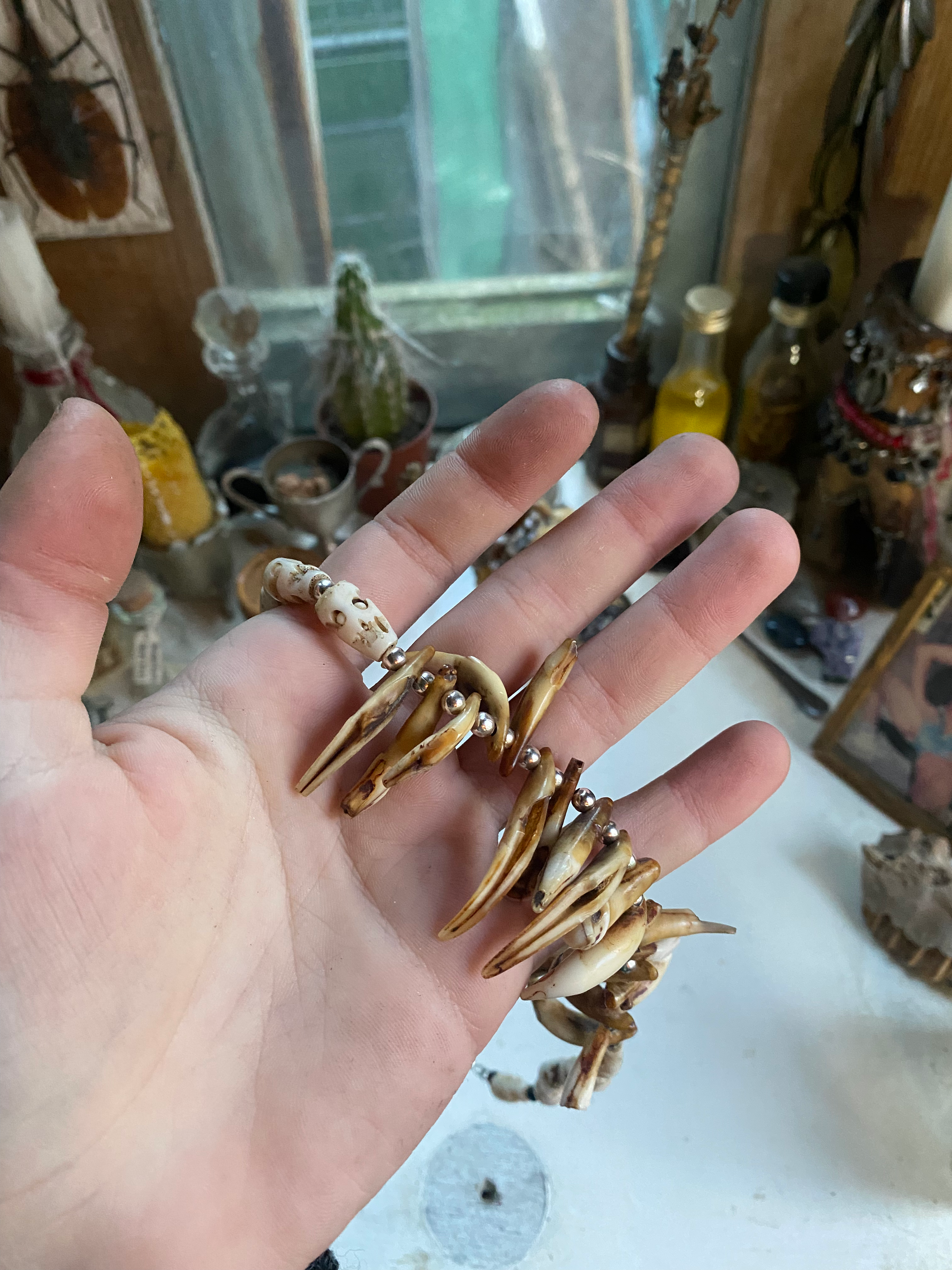Animal Teeth and Carved Bone Necklace image 7