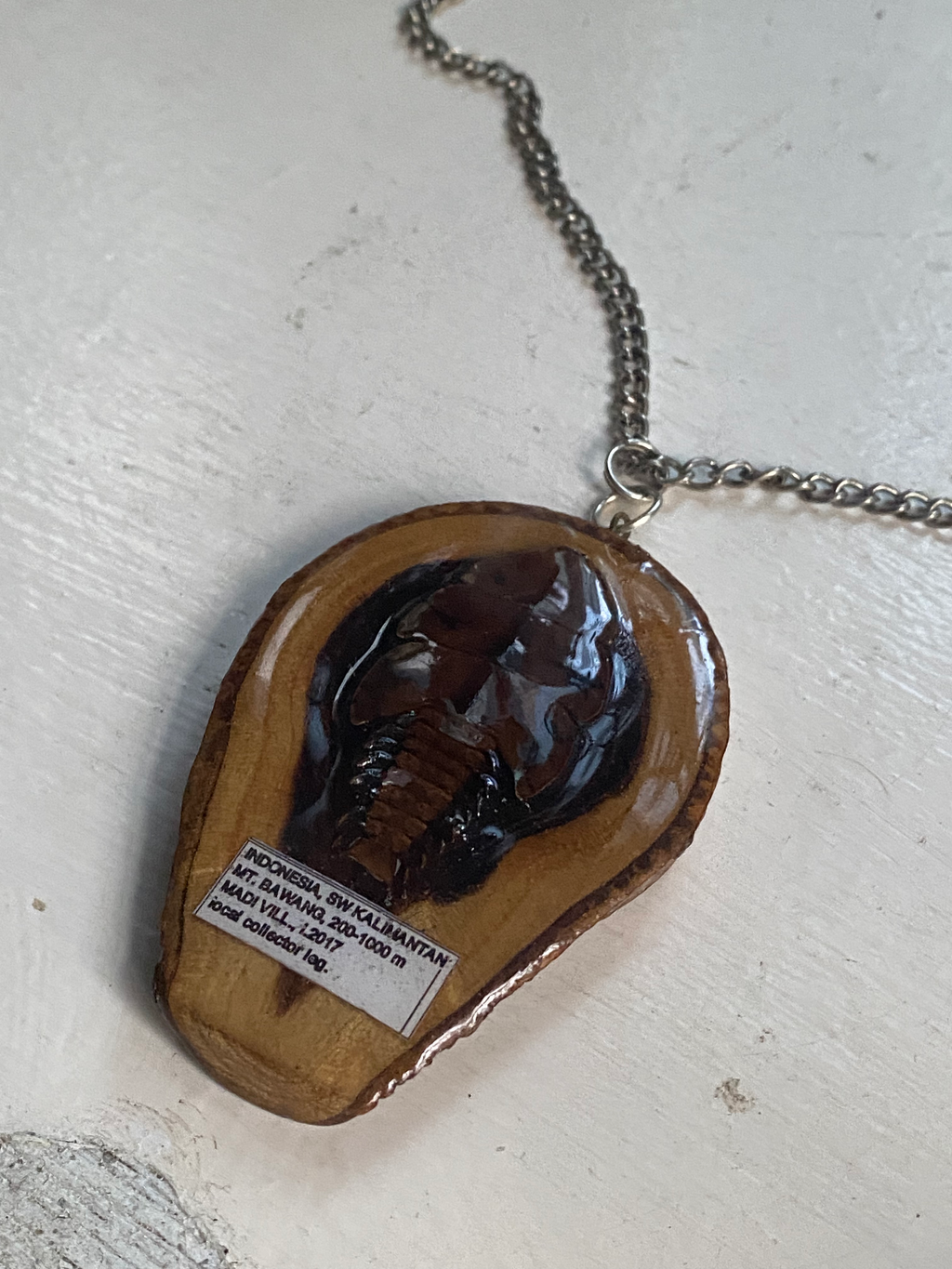 Insect Specimen Wood Necklace image 2