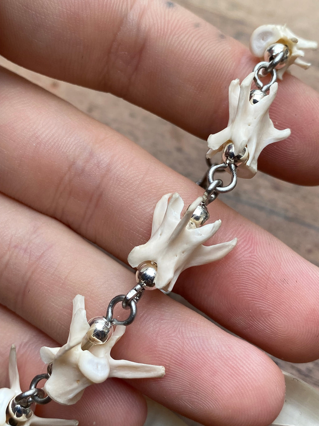 Squirrel Vertibrae Bracelet