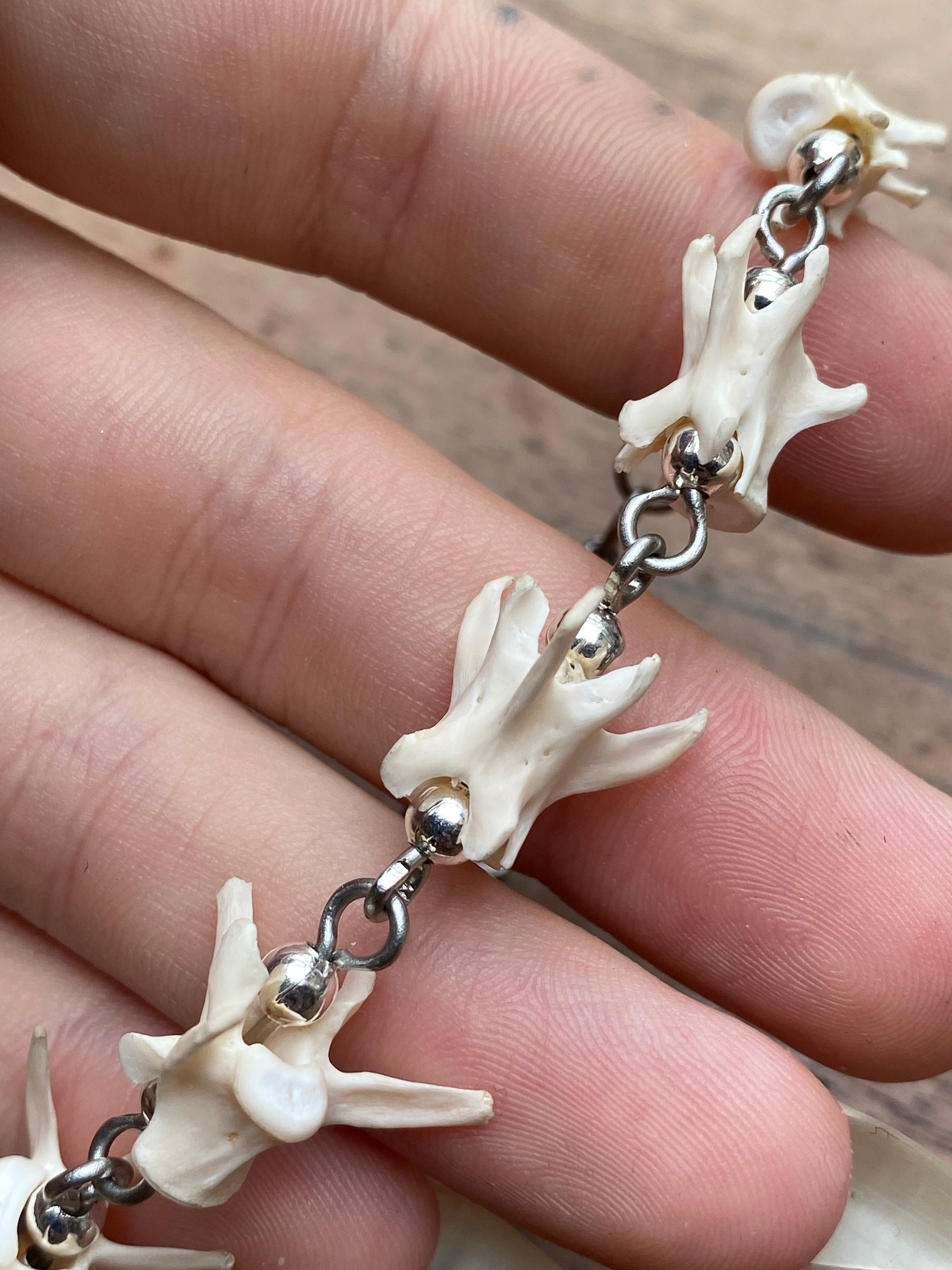 Squirrel Vertibrae Bracelet