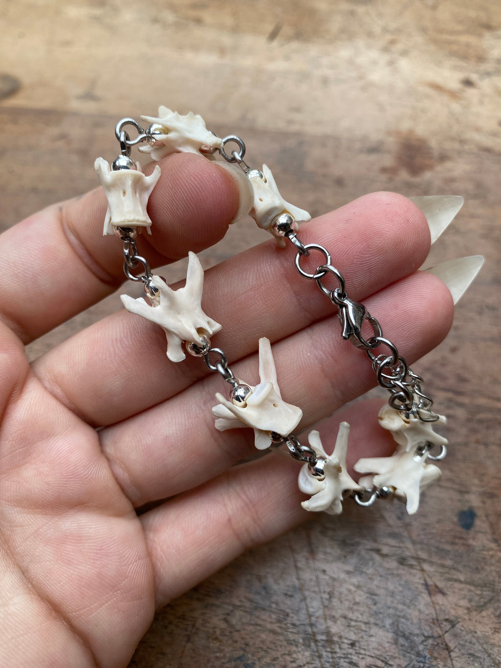 Squirrel Vertibrae Bracelet