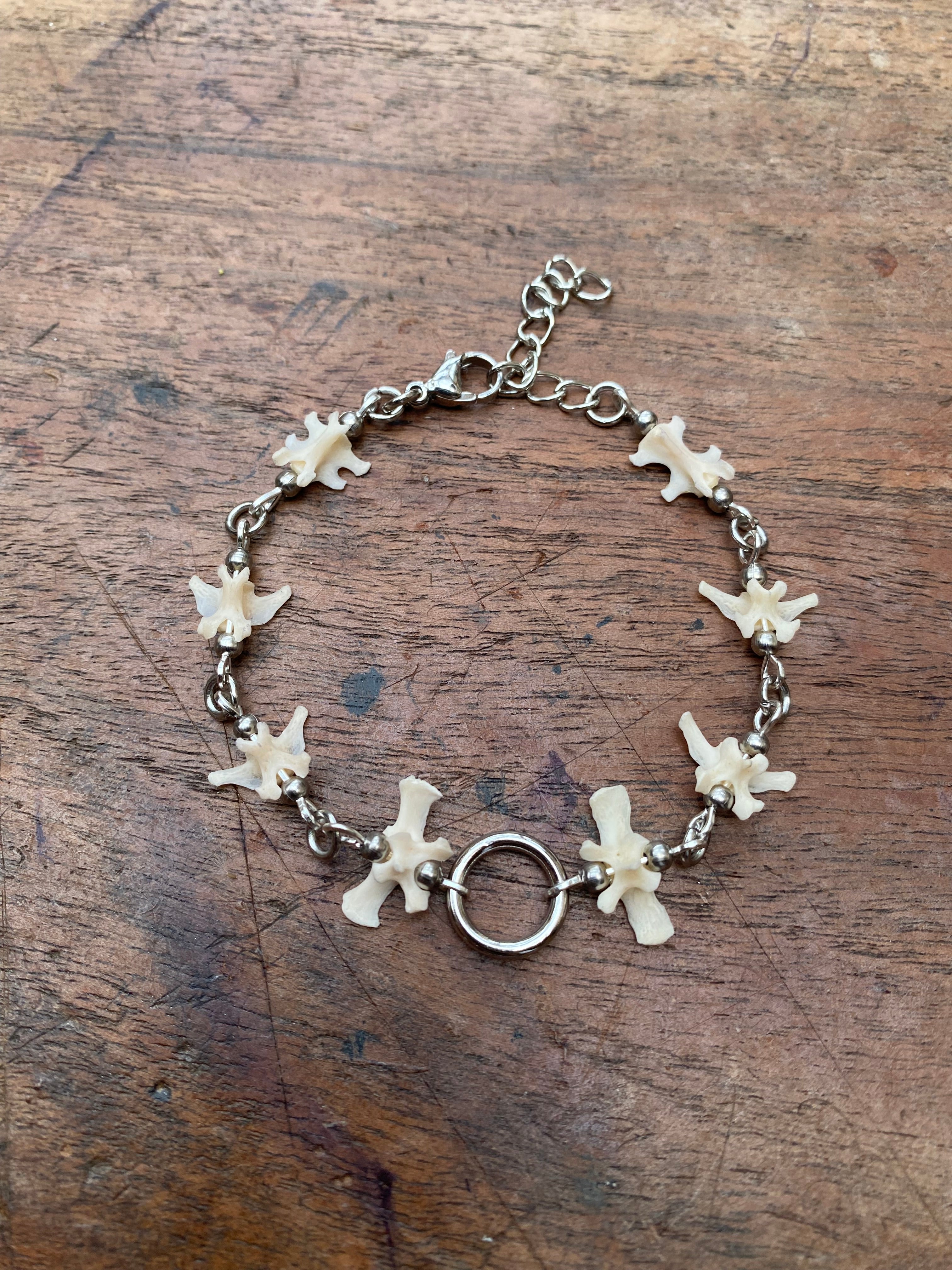 Squirrel Tail Vertibrae Bracelet