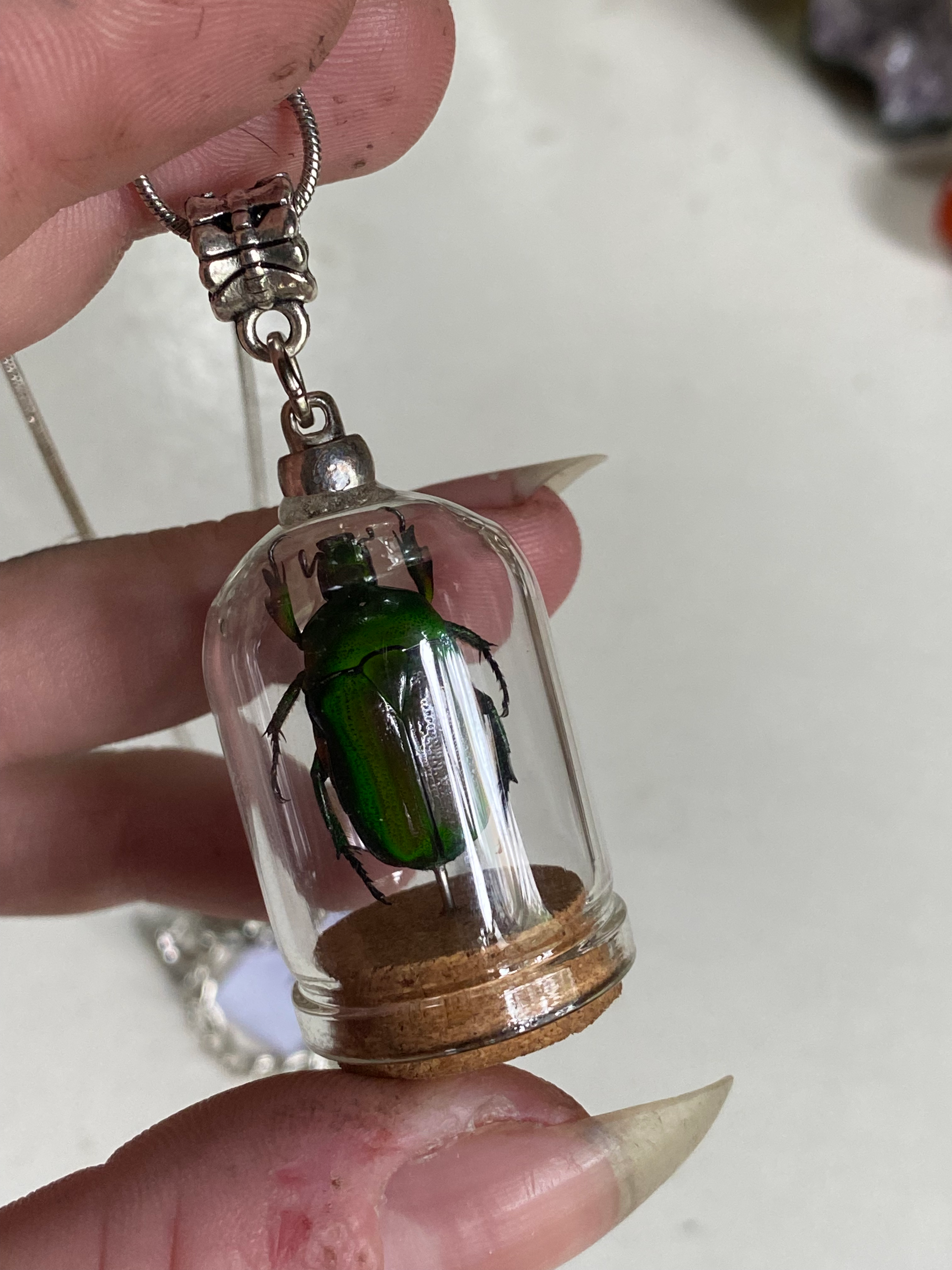 Green Scarab Beetle in Glass Dome Necklace image 1