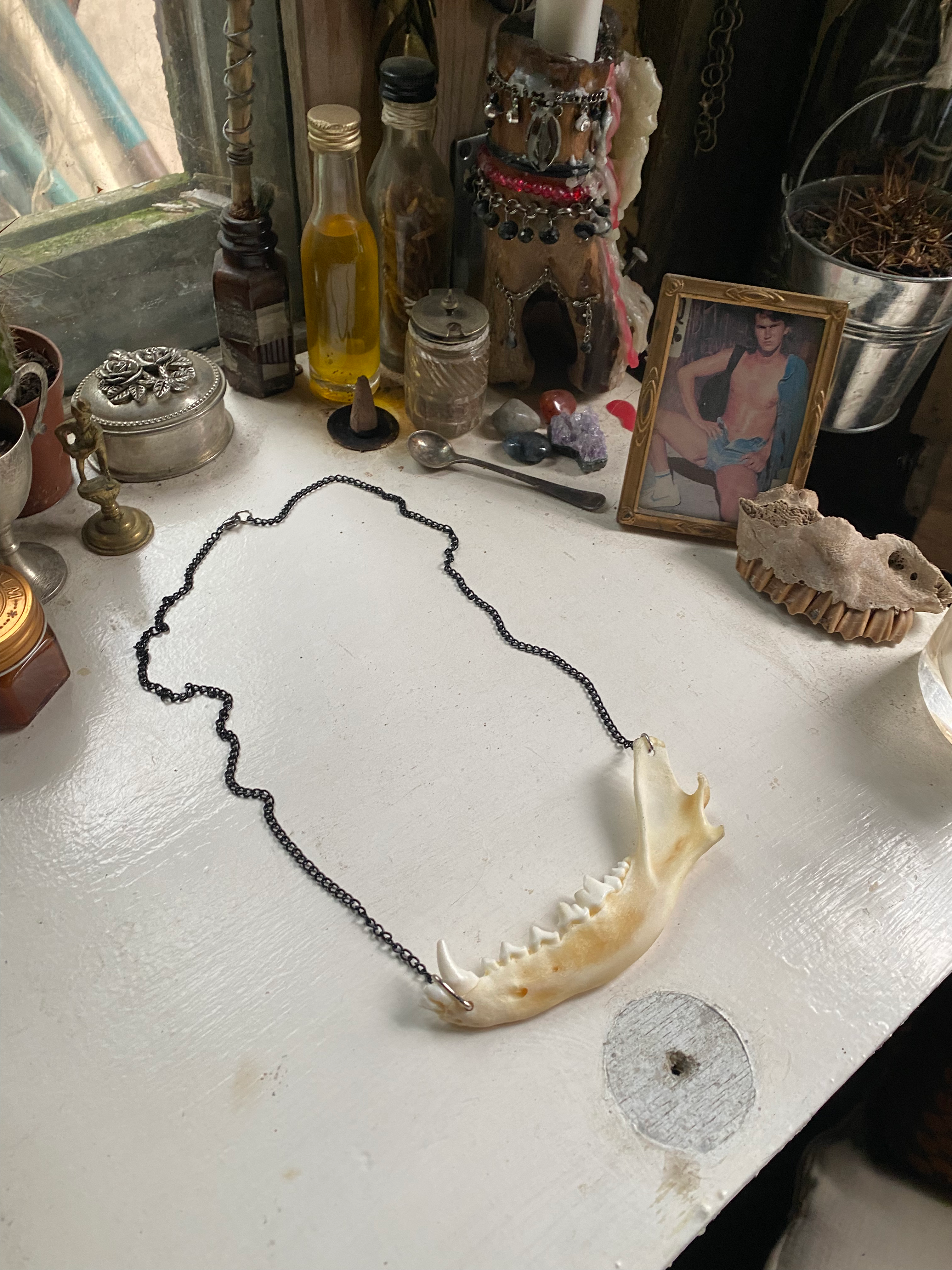 Fox Jaw Bone Necklace image 0