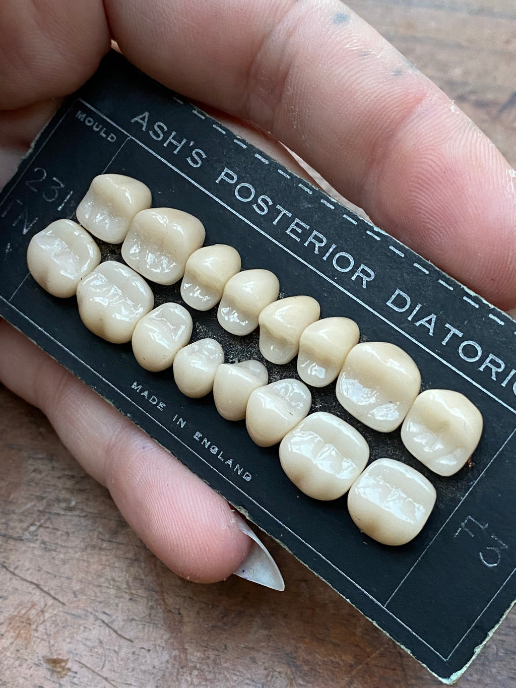 Antique Porcelain Ceramic Dentist Teeth