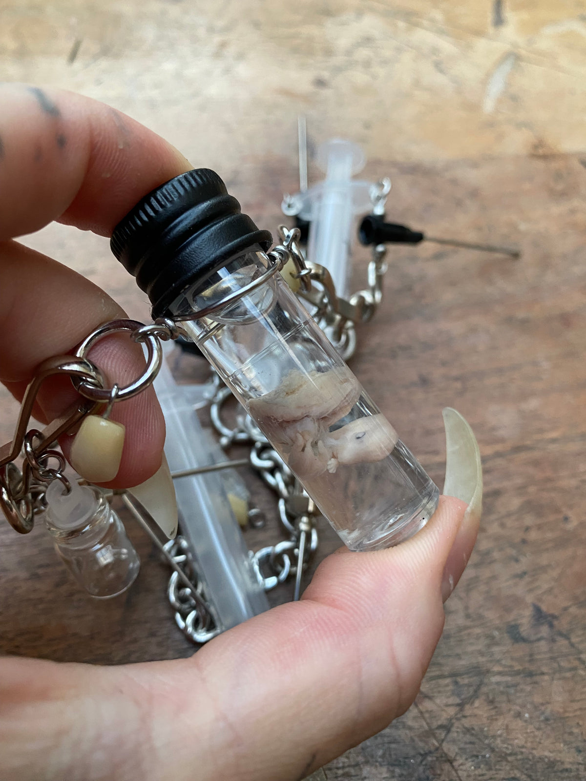 Fetal Rabbit Wet Specimen, Vials, Syringes and Teeth Necklace