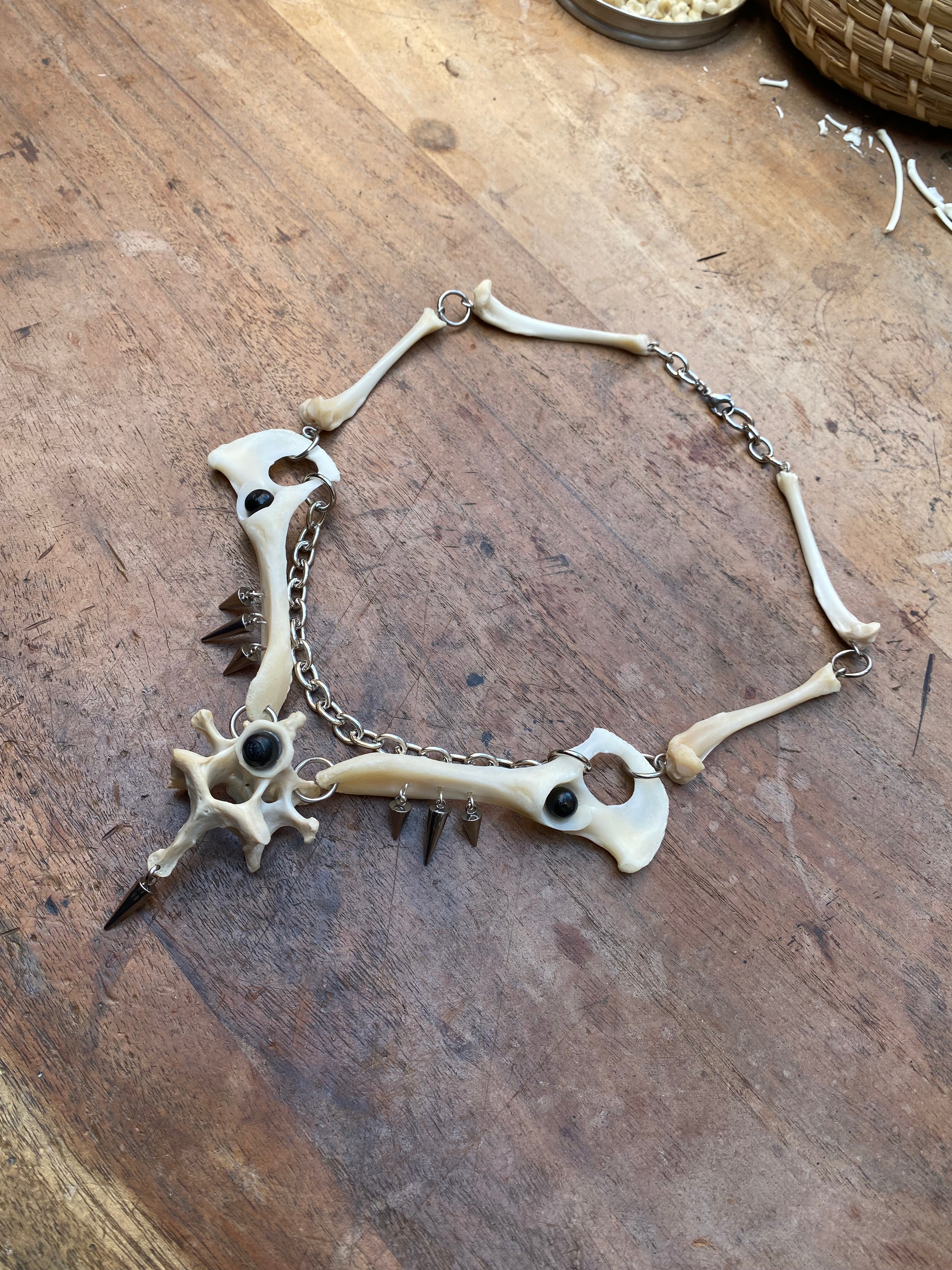 Fox Hip Bones, Femurs and Vertebrae Necklace