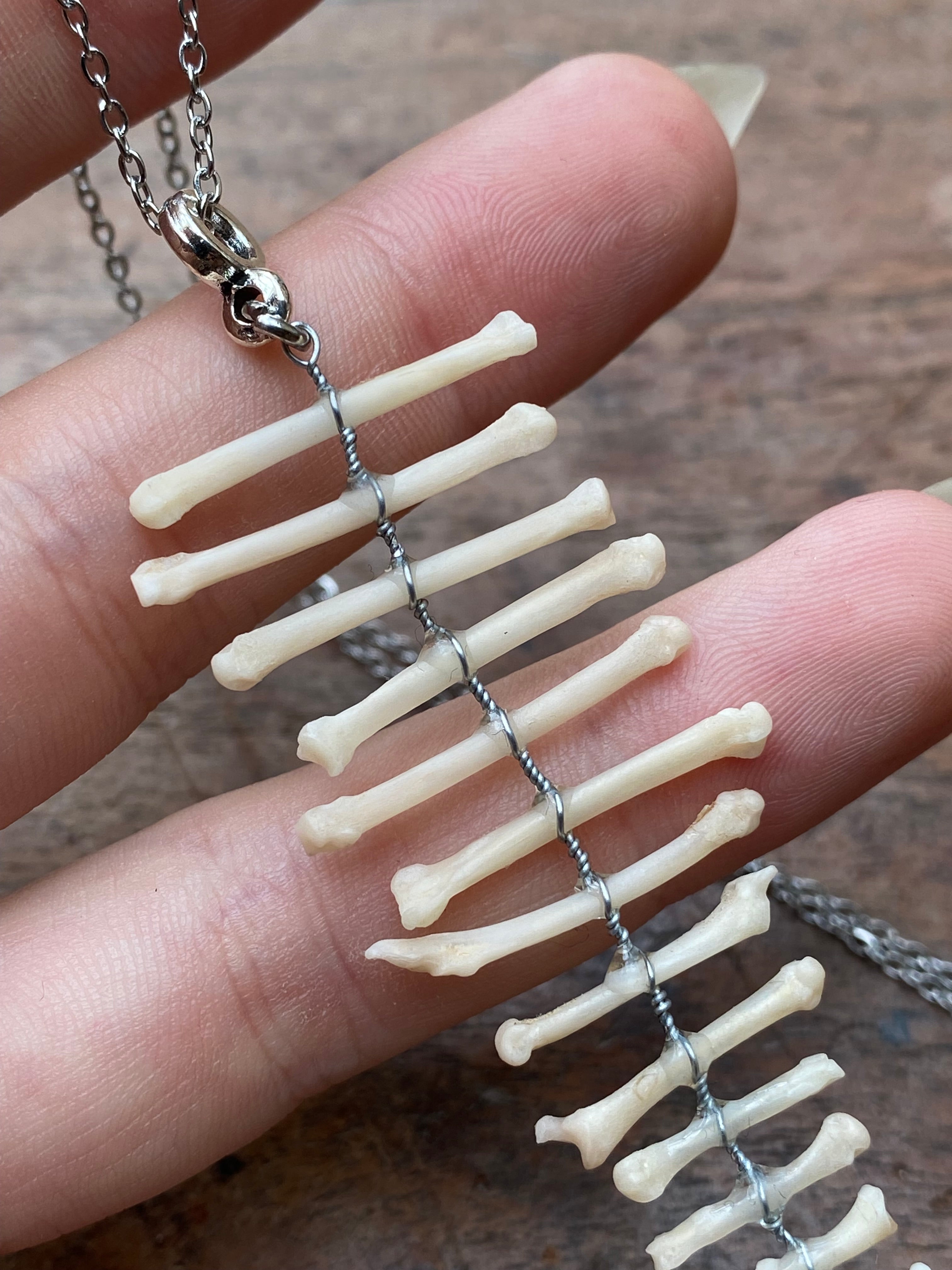 Squirrel Paw and Toe Bones Pendant Necklace