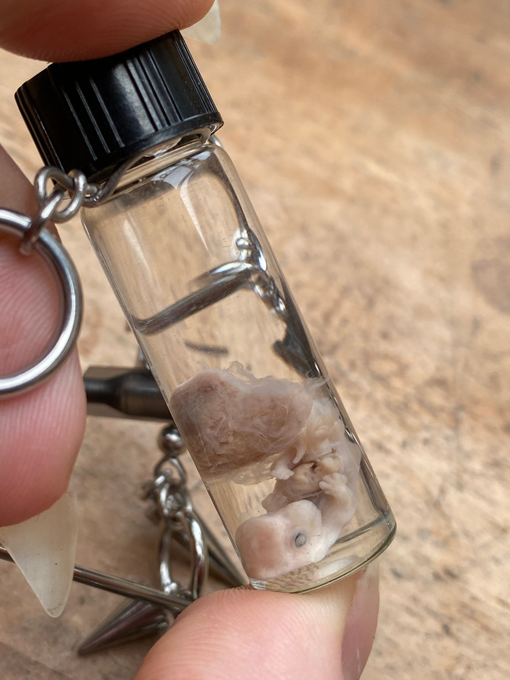 Fetal Rabbit Wet Specimen and Syringe Needles Necklace