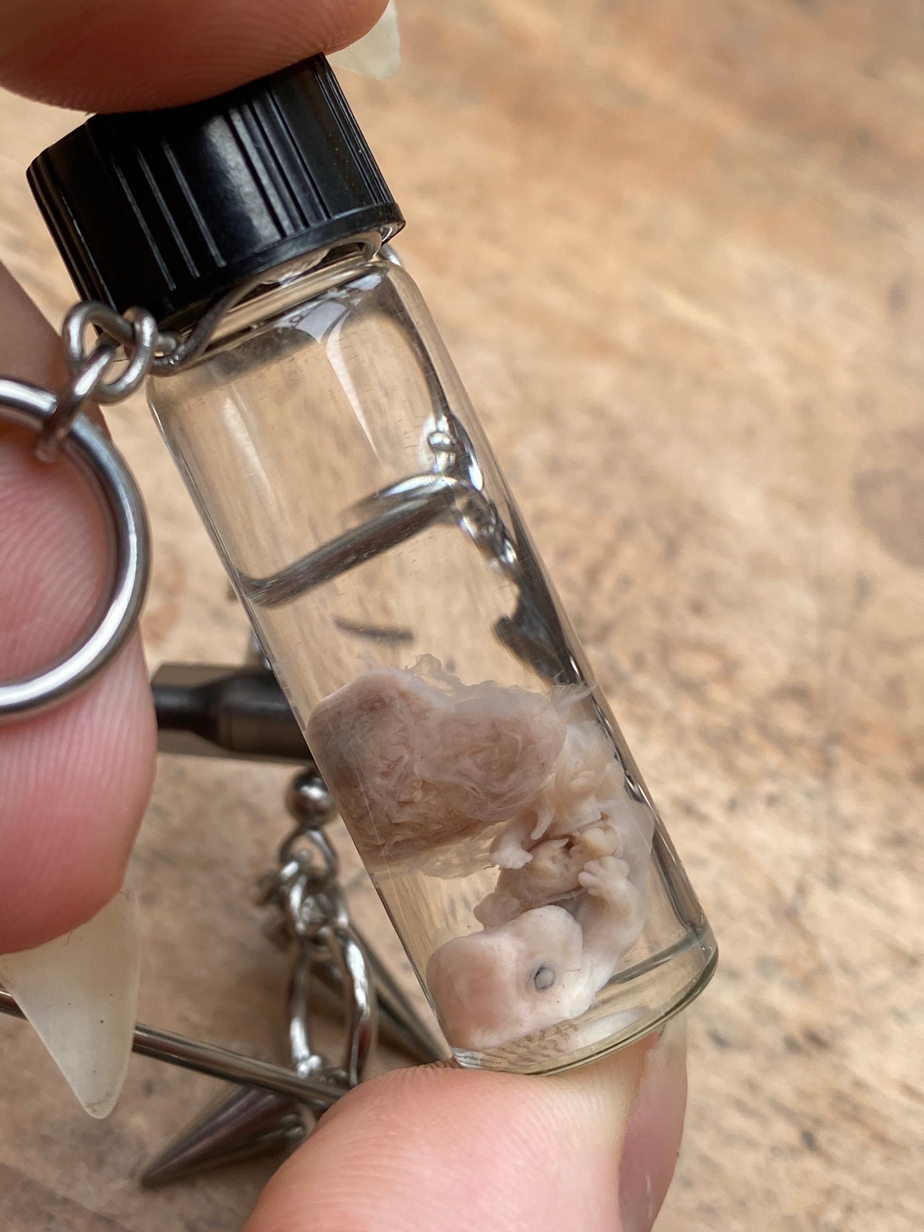 Fetal Rabbit Wet Specimen and Syringe Needles Necklace