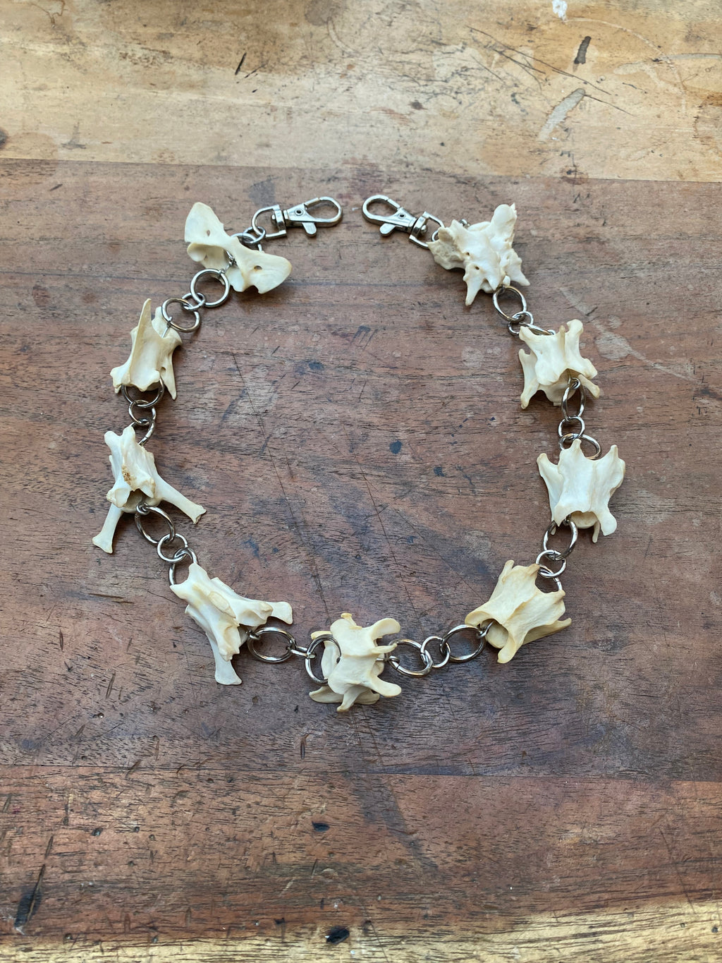 Fox Vertebrae Belt Chain or Necklace