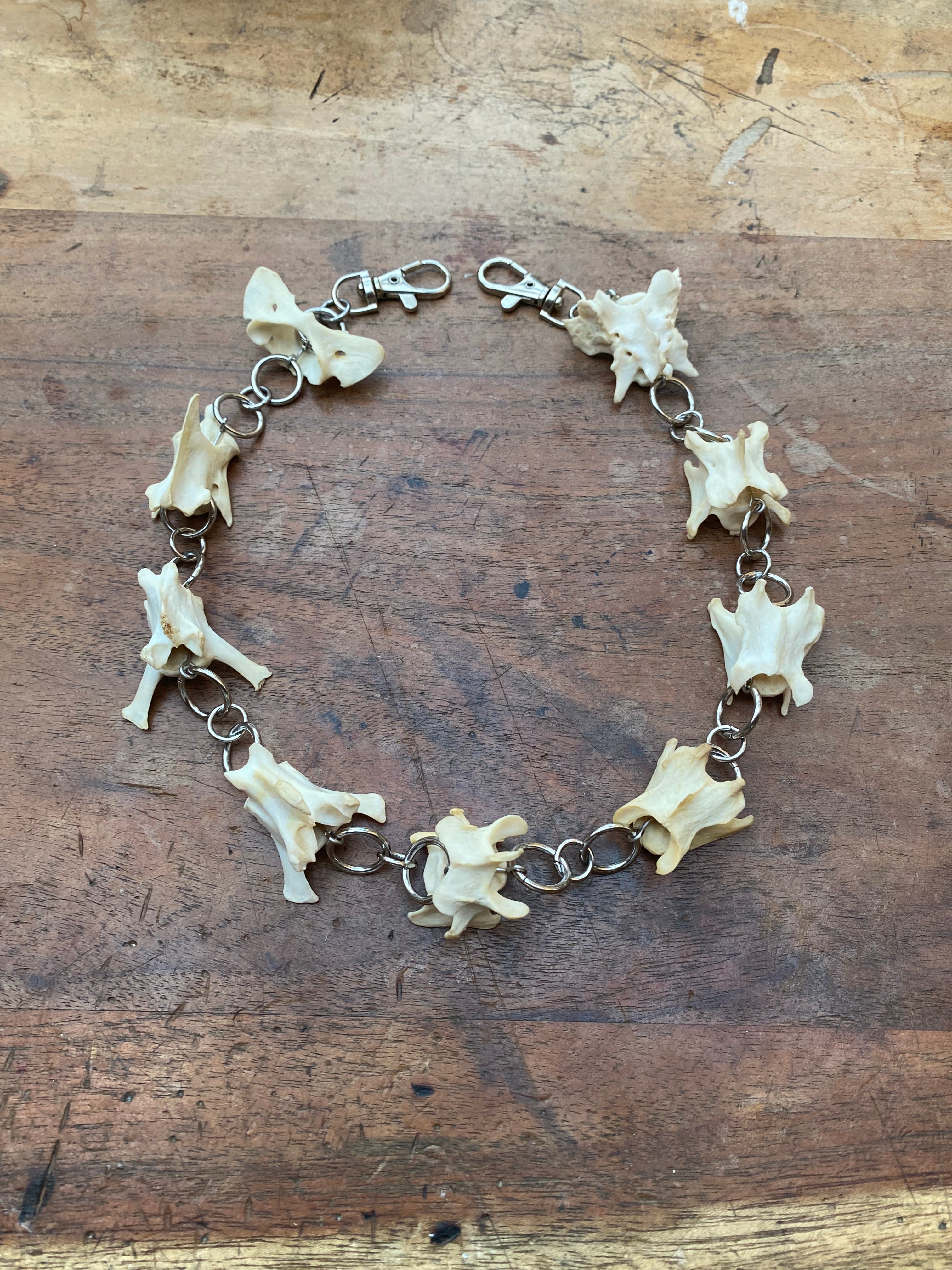 Fox Vertebrae Belt Chain or Necklace