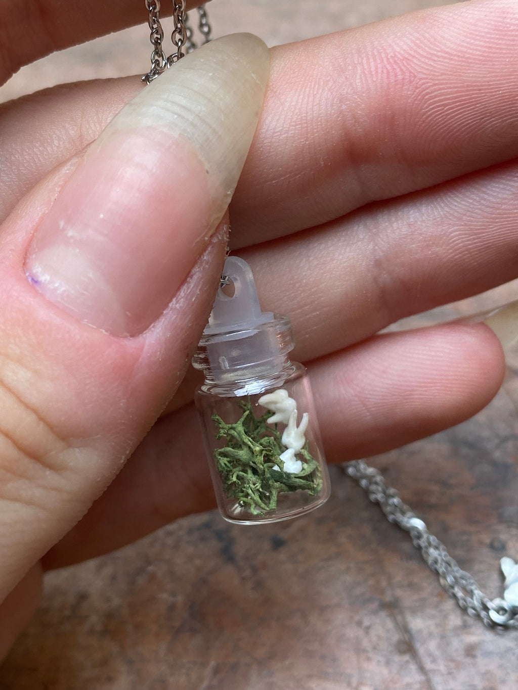 Tiny Squirrel Teeth in Glass Vial Necklace