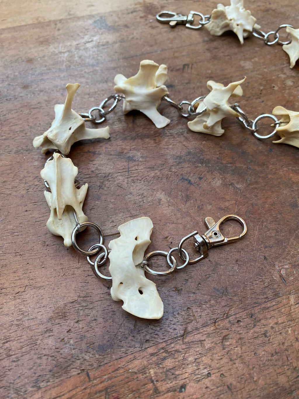 Fox Vertebrae Belt Chain or Necklace
