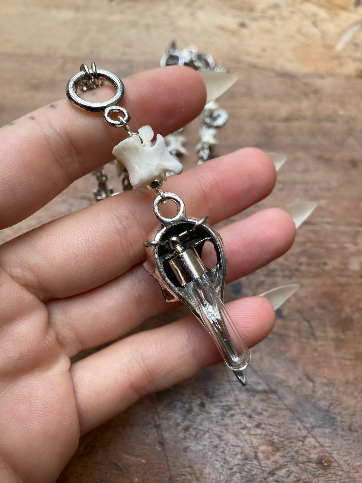 Crow Skull & Vertibrae Necklace with Openable Glass Vial