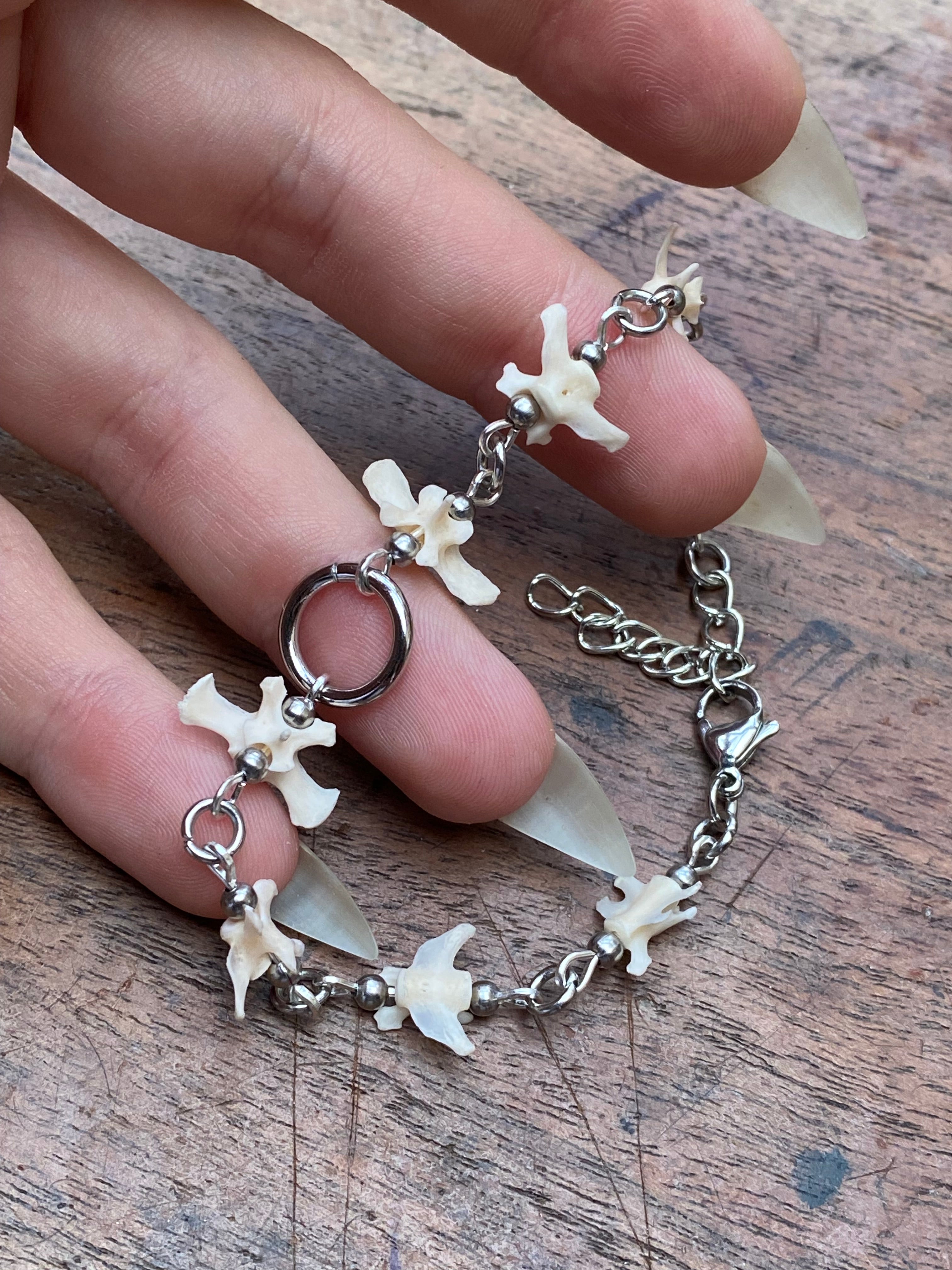 Squirrel Tail Vertibrae Bracelet