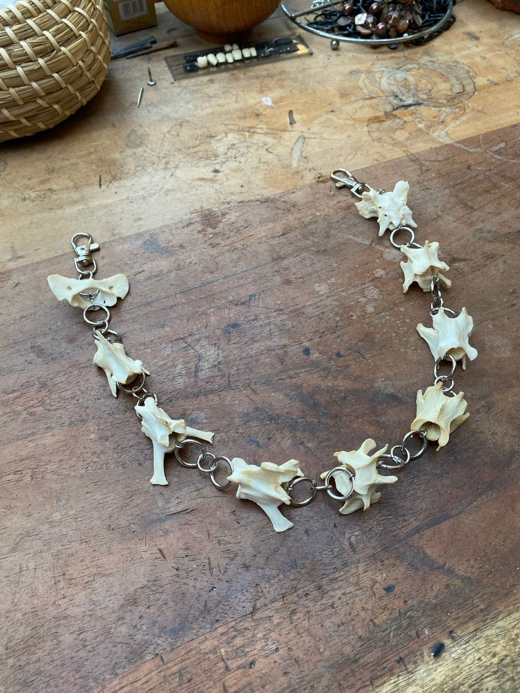 Fox Vertebrae Belt Chain or Necklace