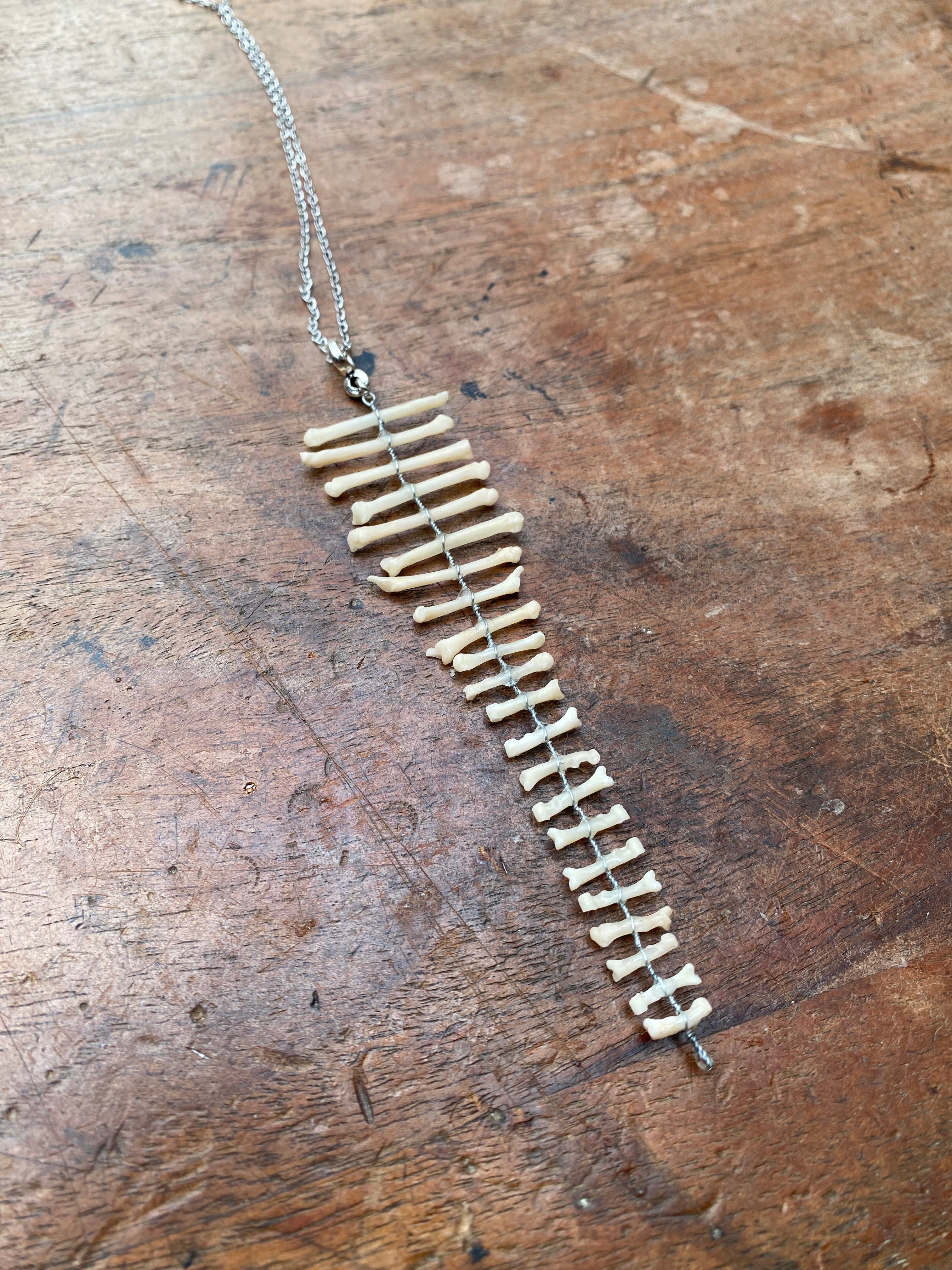 Squirrel Paw and Toe Bones Pendant Necklace