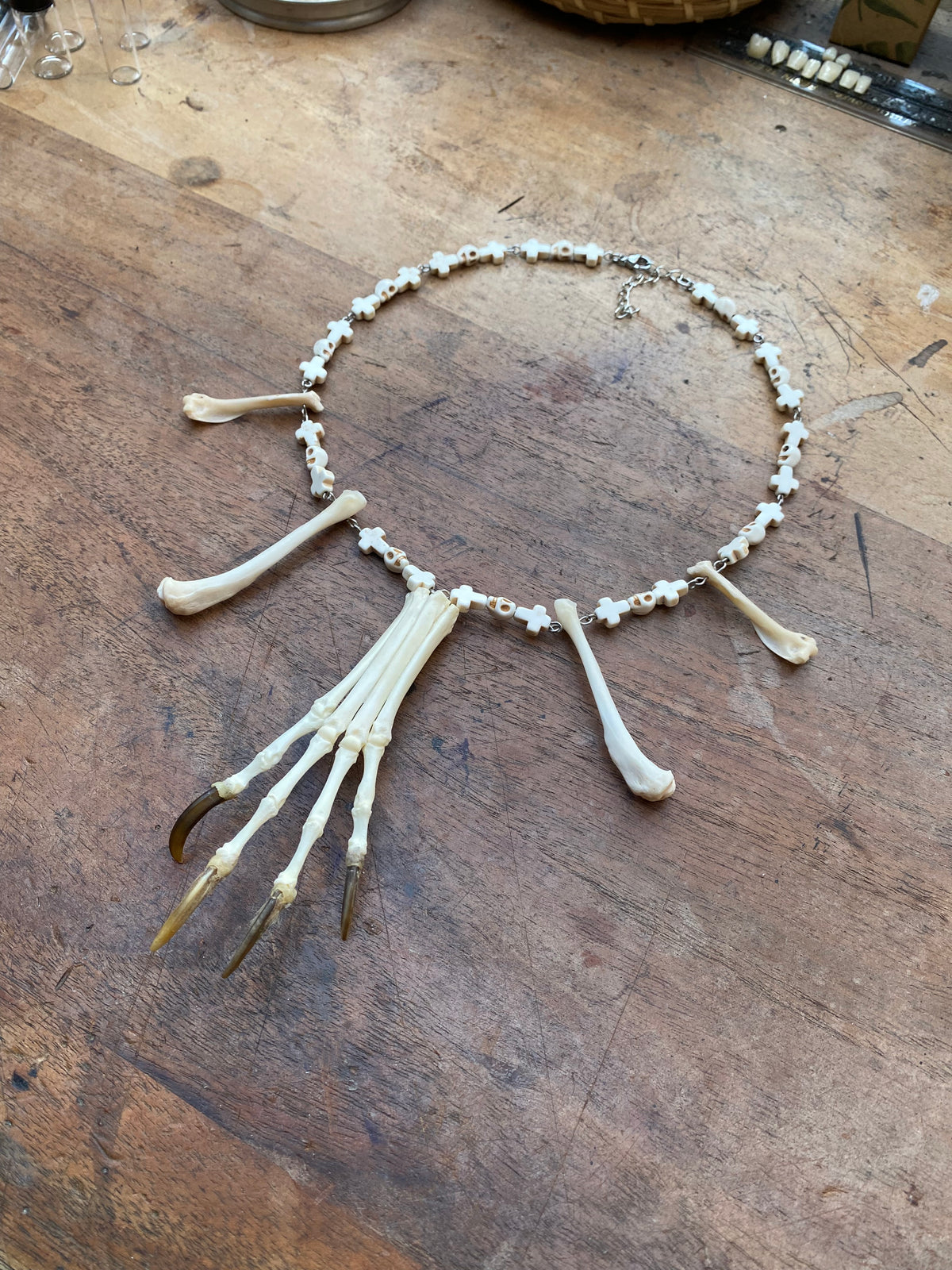 Fox Paw Bones and Squirrel Femurs Necklace
