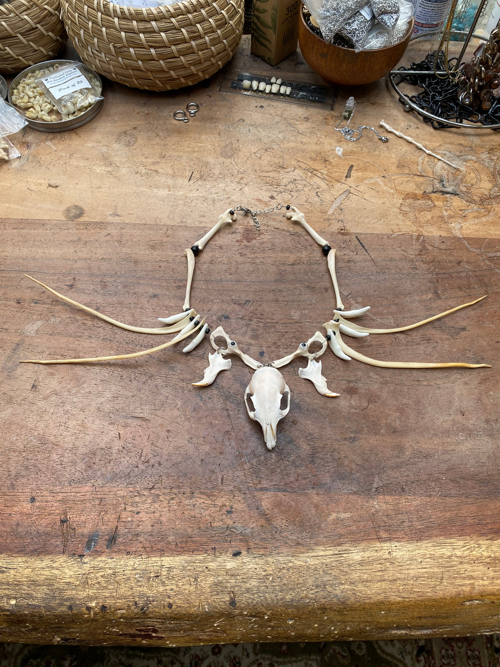 Squirrel Skull and Bones Necklace