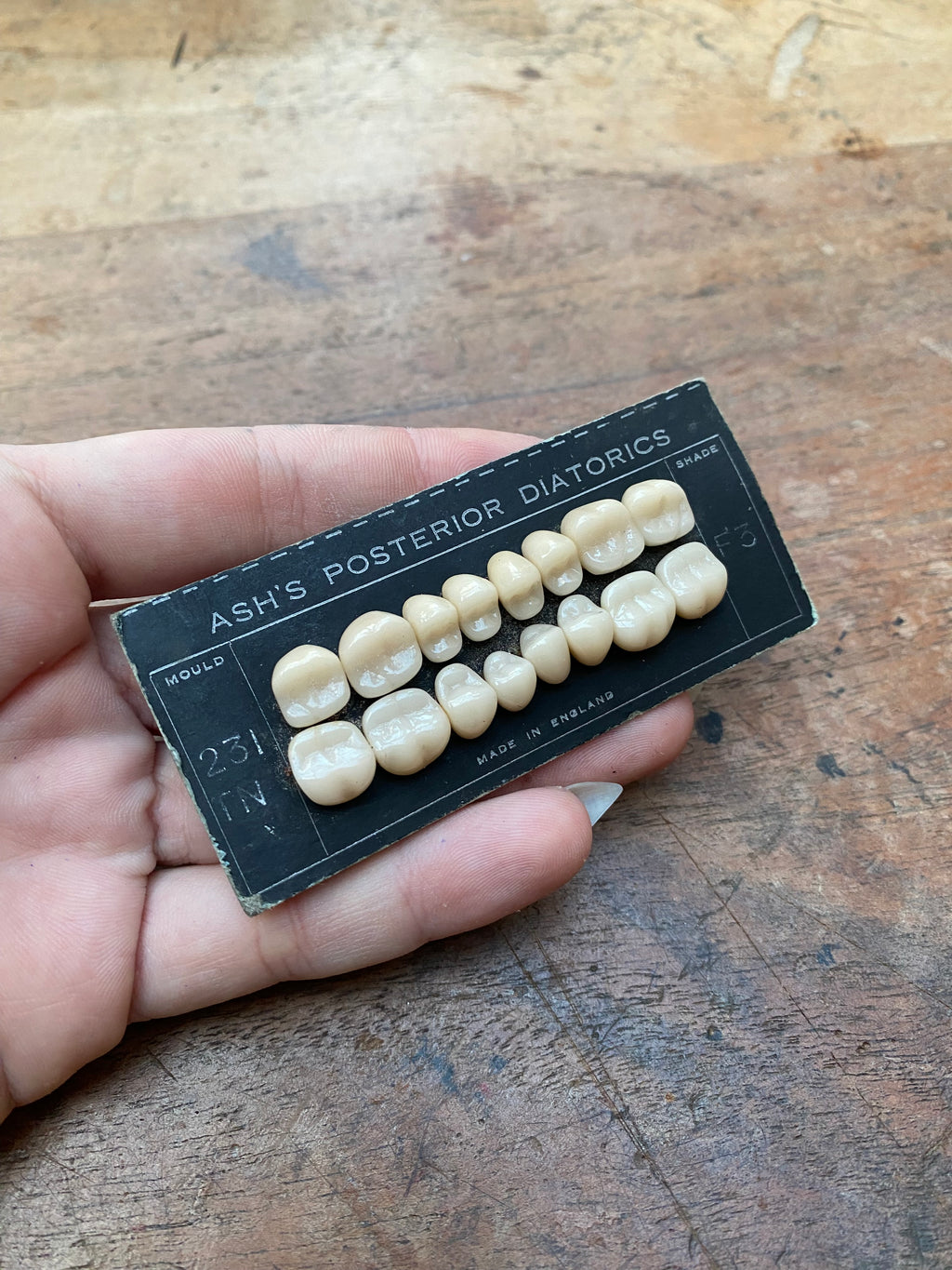 Antique Porcelain Ceramic Dentist Teeth