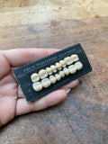 Antique Porcelain Ceramic Dentist Teeth