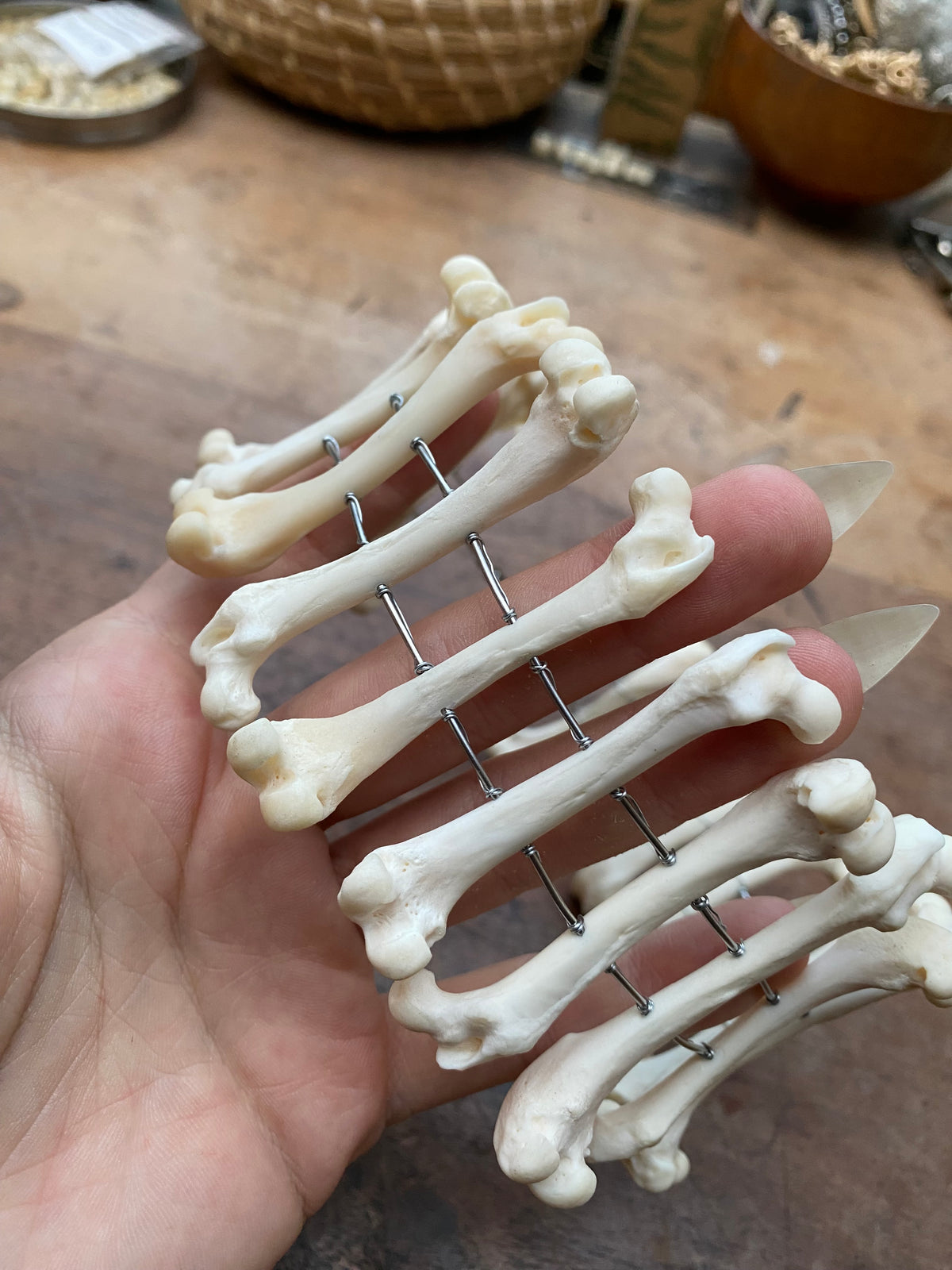 Mink Femurs Wide Choker