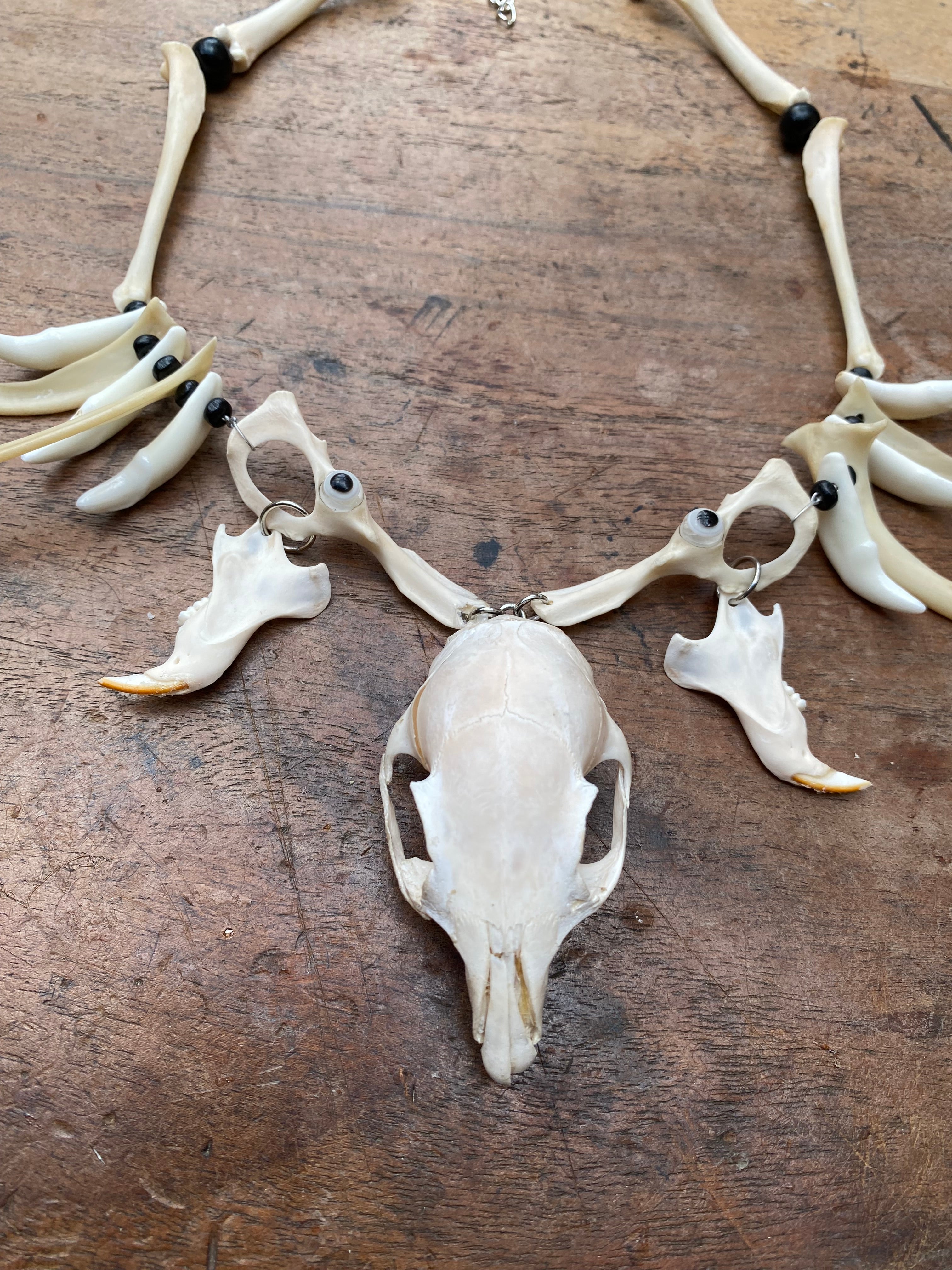 Squirrel Skull and Bones Necklace