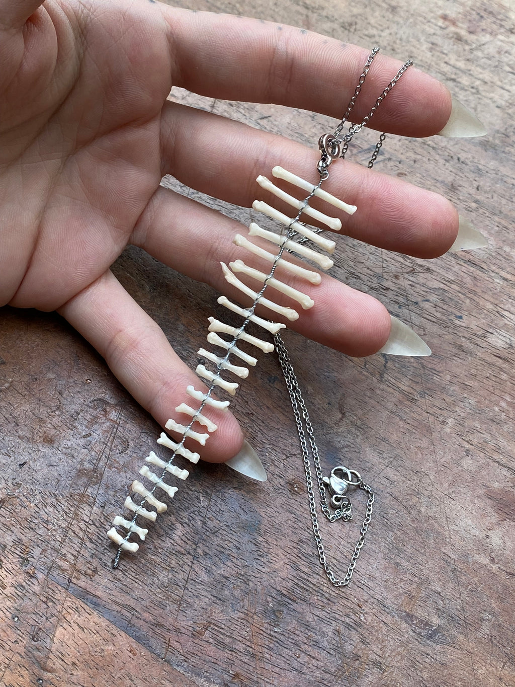 Squirrel Paw and Toe Bones Pendant Necklace