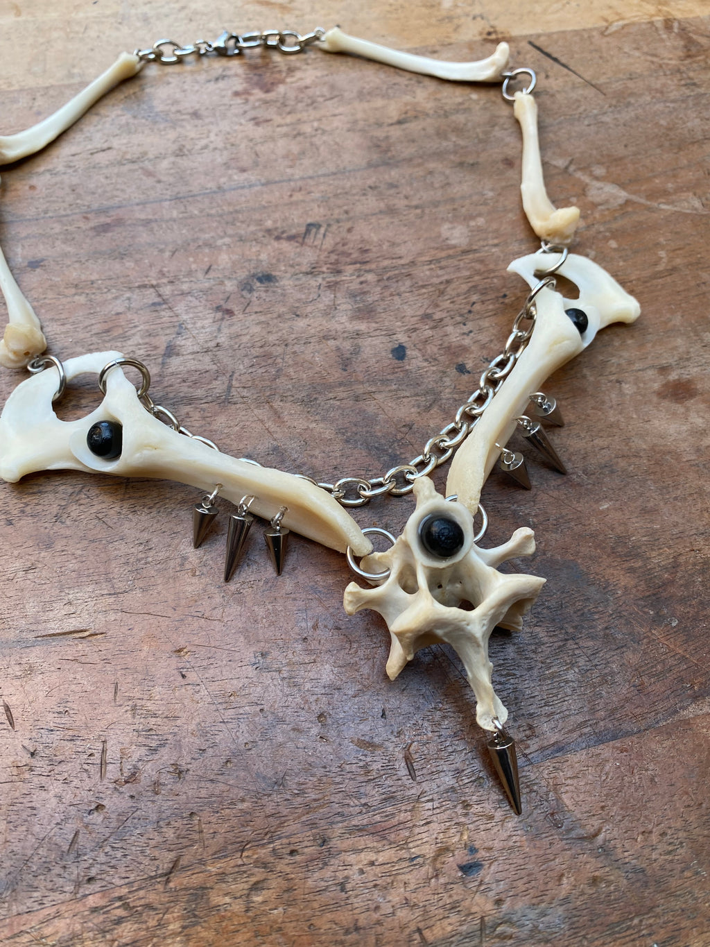 Fox Hip Bones, Femurs and Vertebrae Necklace