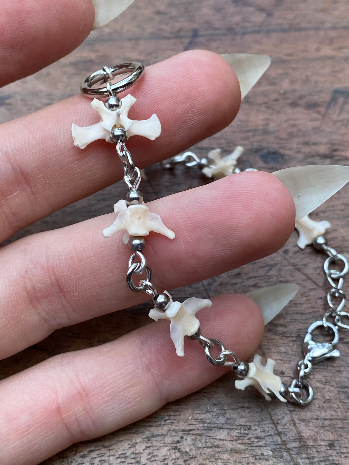Squirrel Tail Vertibrae Bracelet