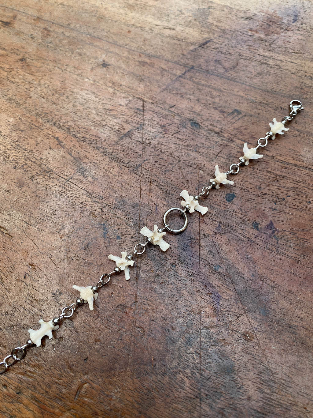 Squirrel Tail Vertibrae Bracelet